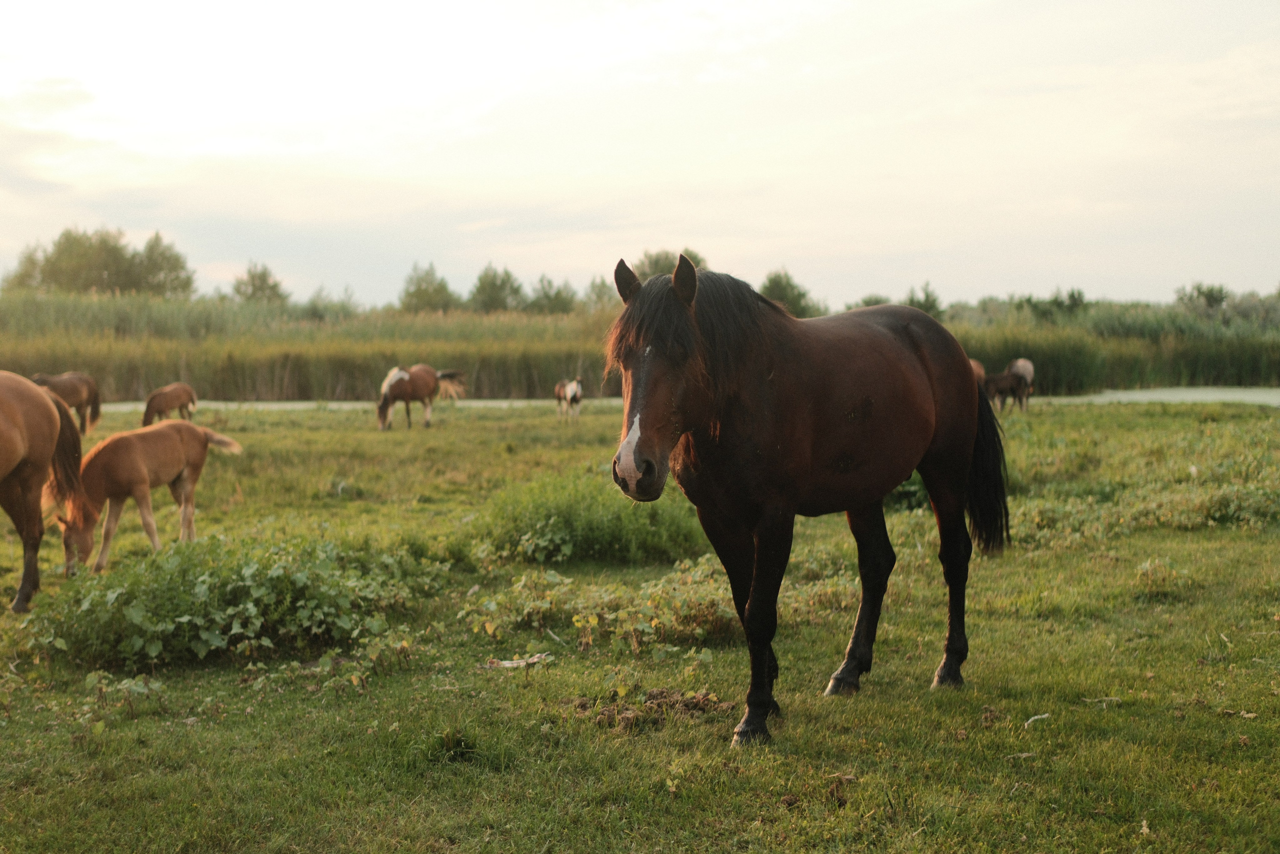 Внезапная фотосессия. Фотограф/Видеограф из Саратова