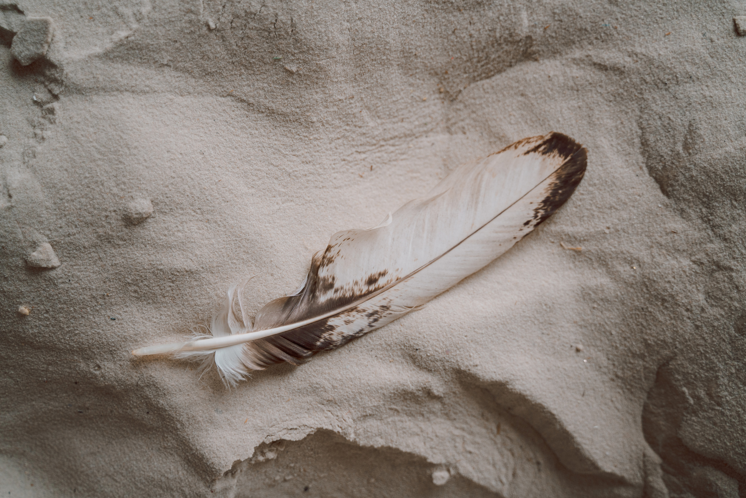 Sand. Фотограф Карина Клапотовская в Москве и Московской области