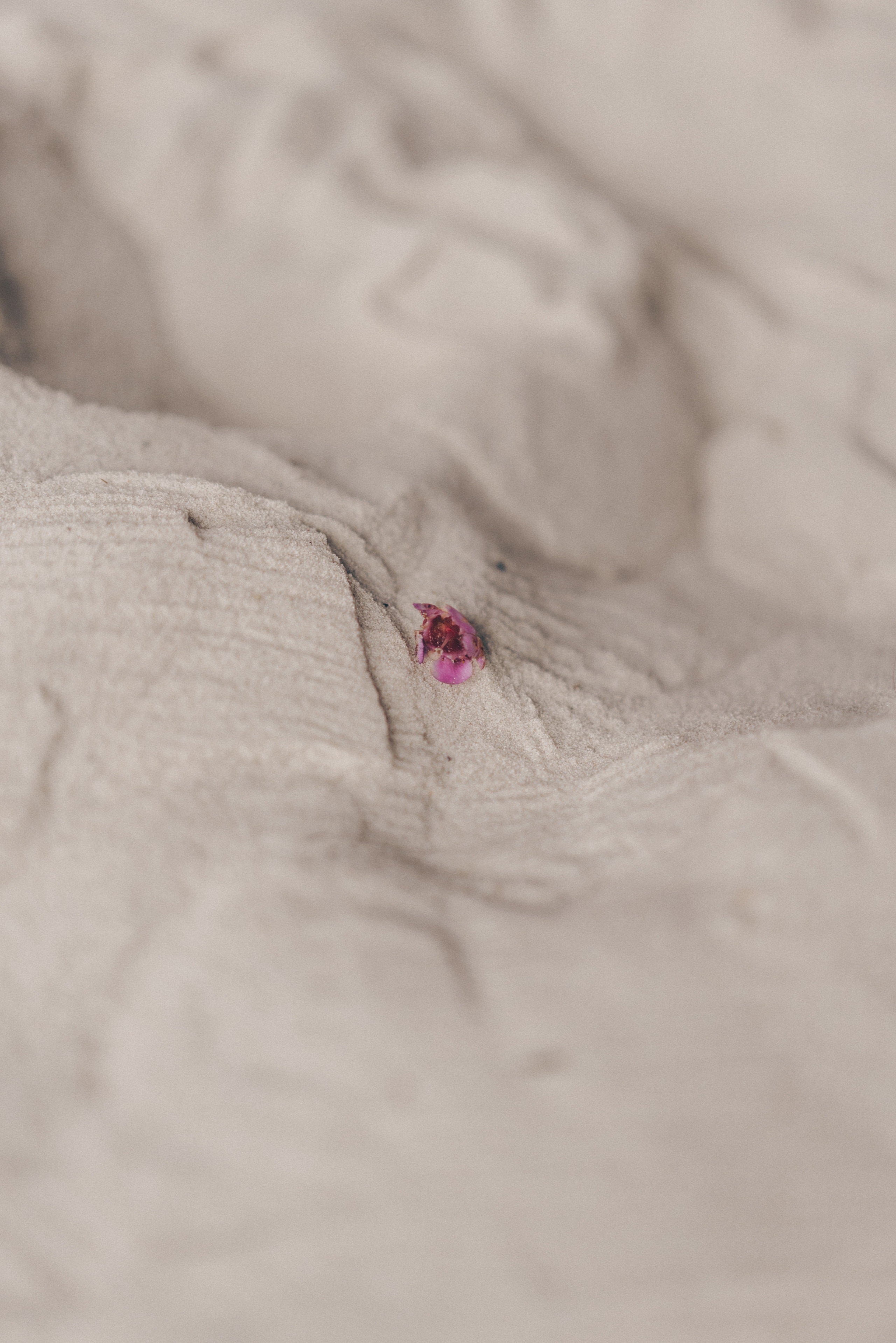 Sand. Фотограф Карина Клапотовская в Москве и Московской области