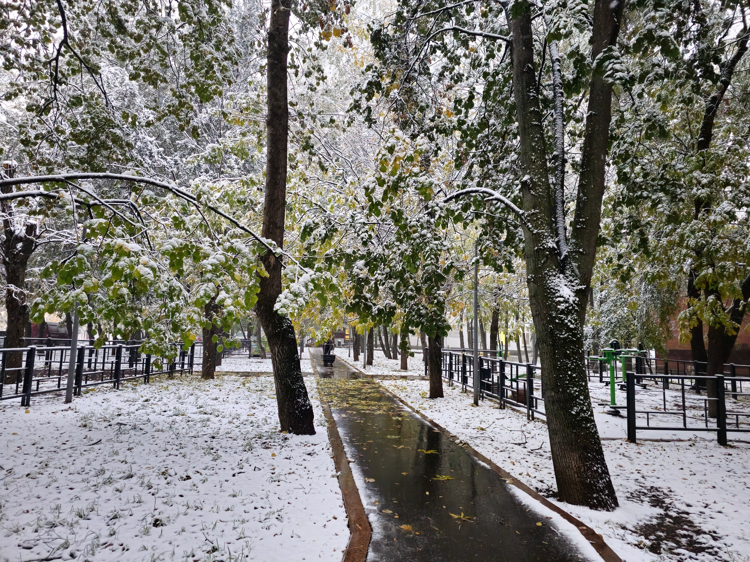 081124. Ilaronsia эстетика фото визуал