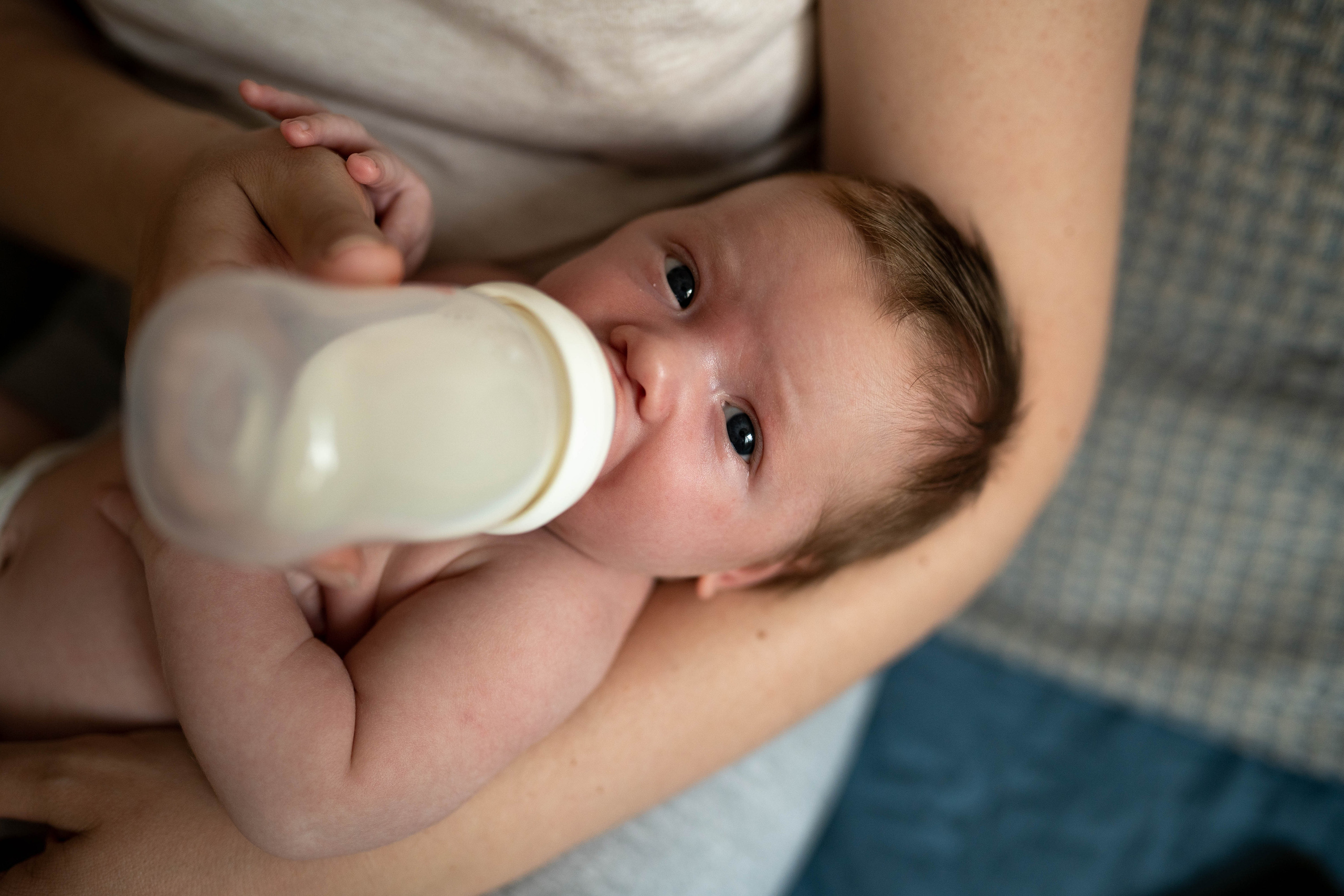 Юлия и Сергей. Семейный и детский фотограф в Израиле и Москве Дорошок Надя