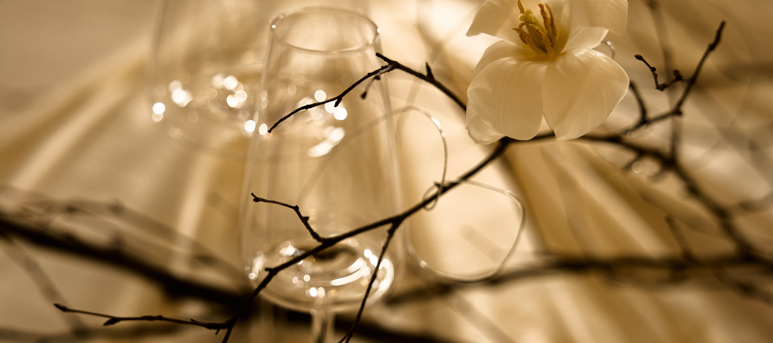 Фотограф в Санкт-Петербурге Анжелика Крамская