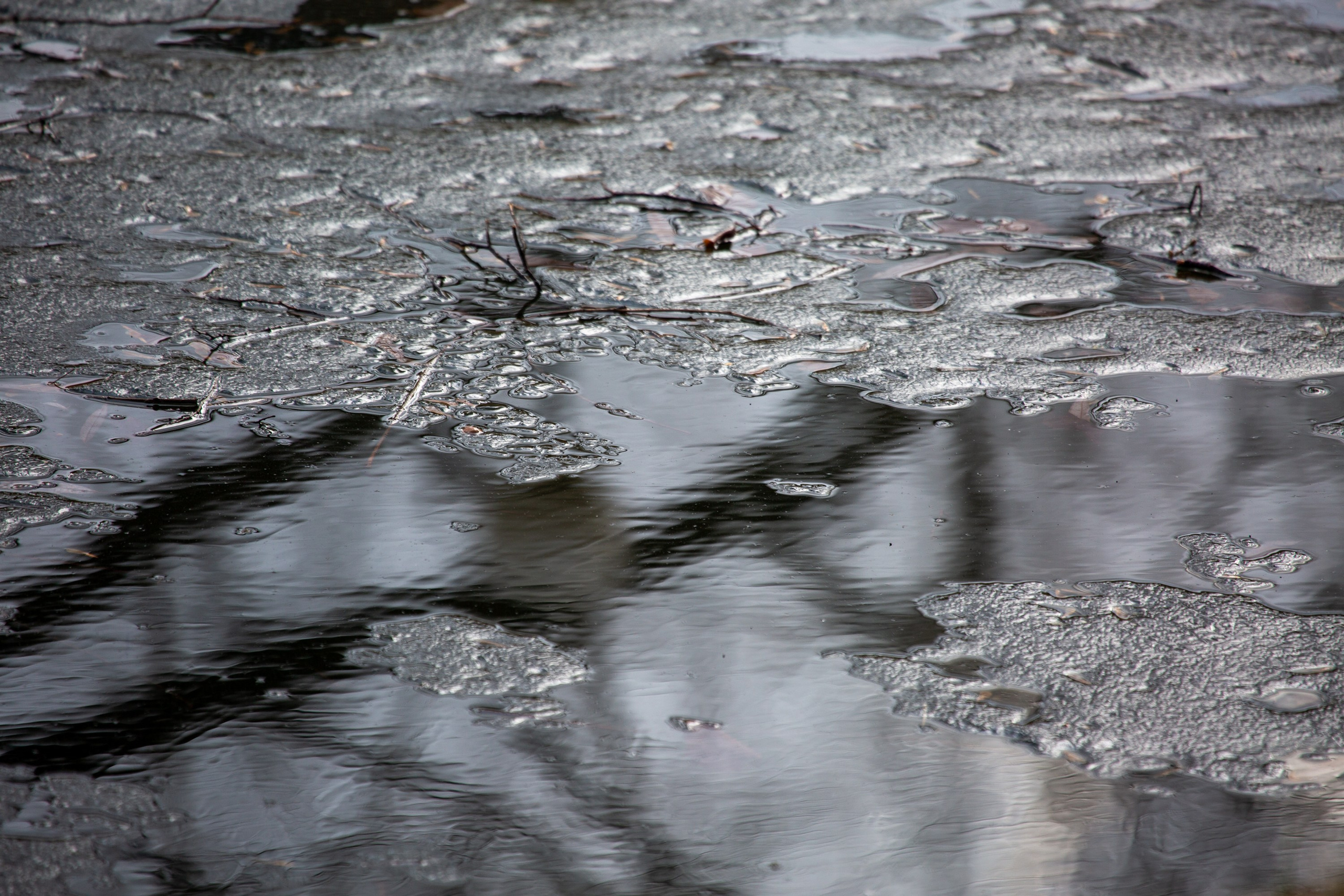 Весенняя фотопрогулка. Главная