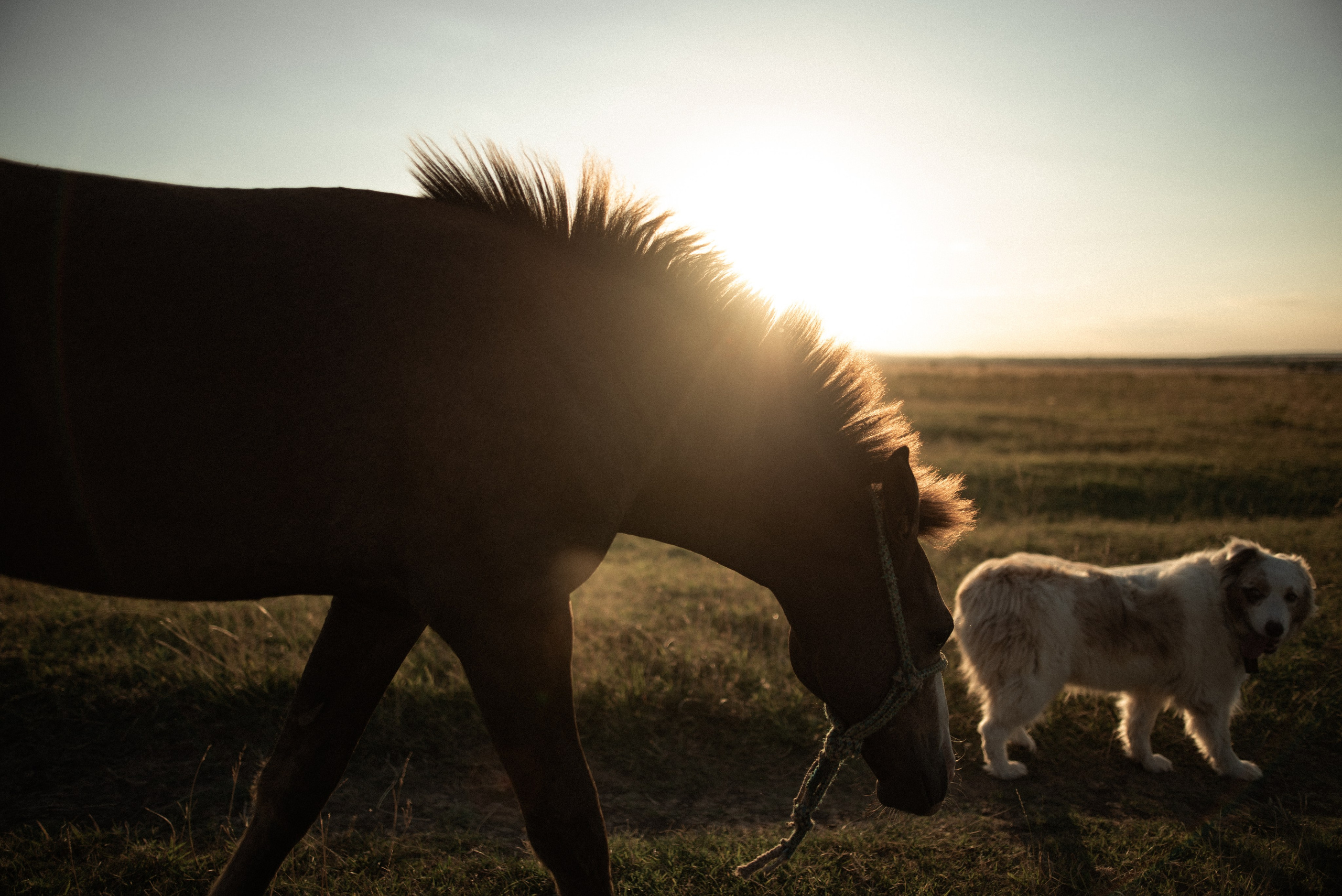 В гостях у Руны. Семейный и детский фотограф в Санкт-Петербурге Татьяна Дмитренко
