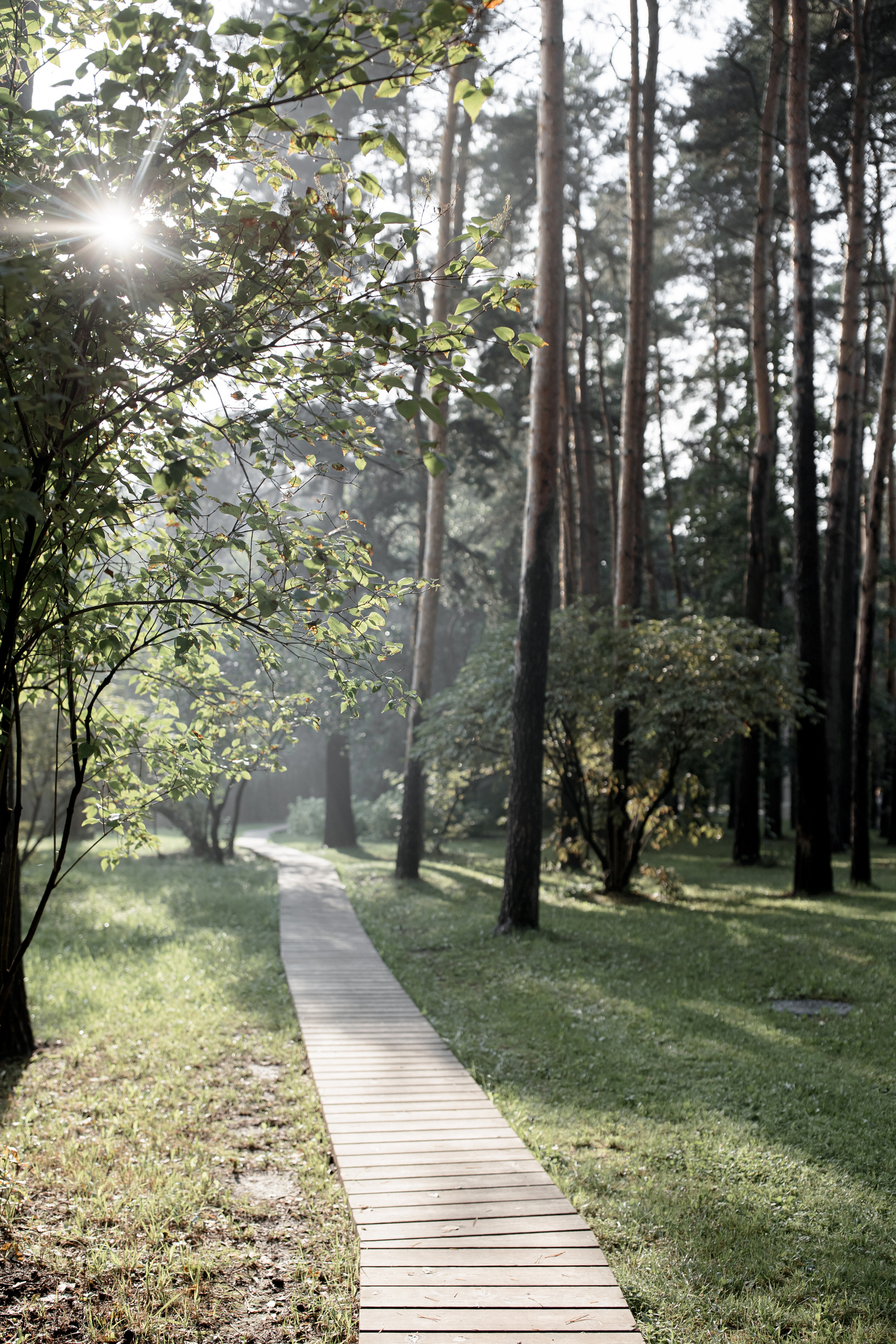 Дангина Сергей. Свадебный фотограф Виктория Карпова