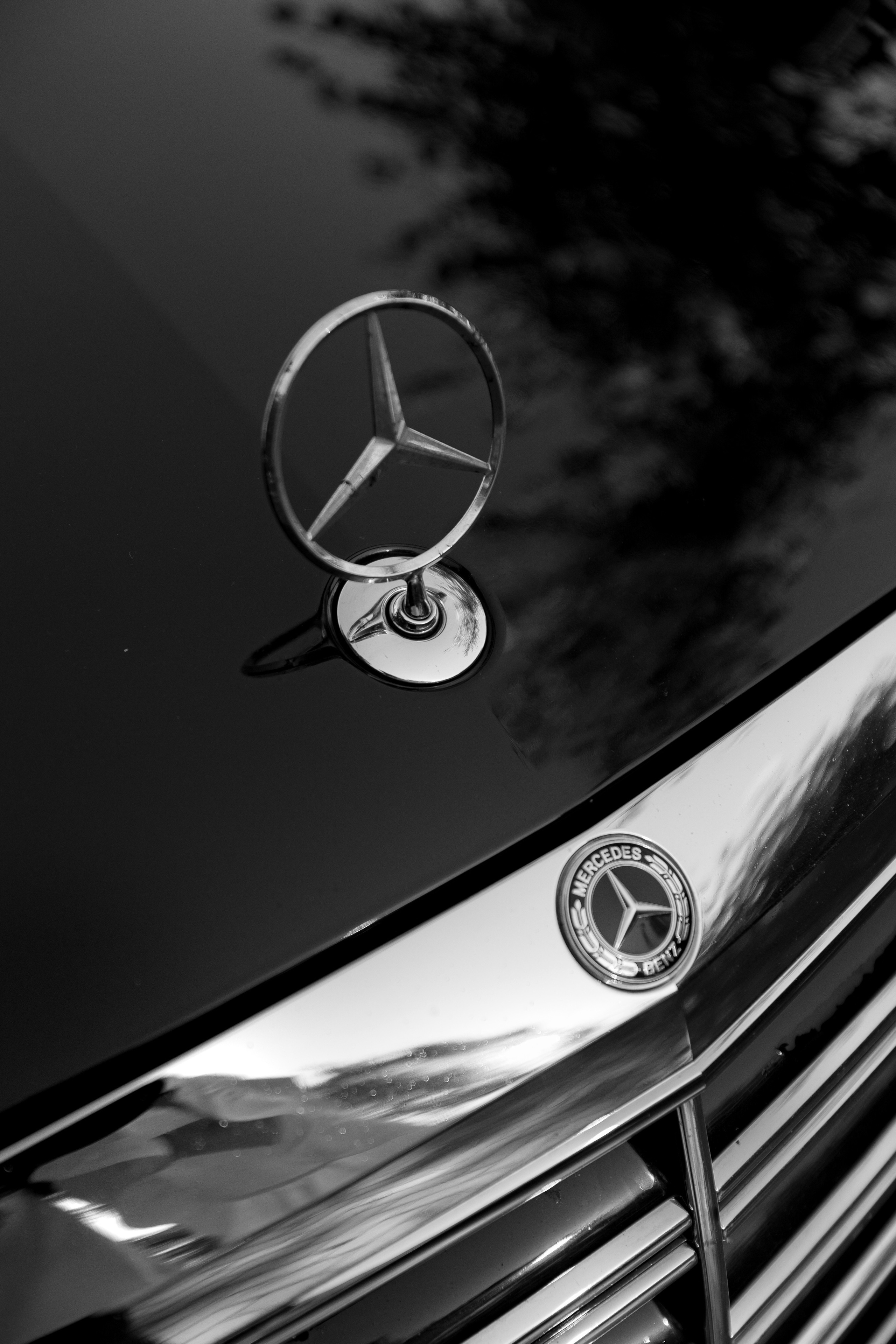 Свадебная съемка в центре искусств на Волхонке. Свадебный фотограф Виктория Карпова