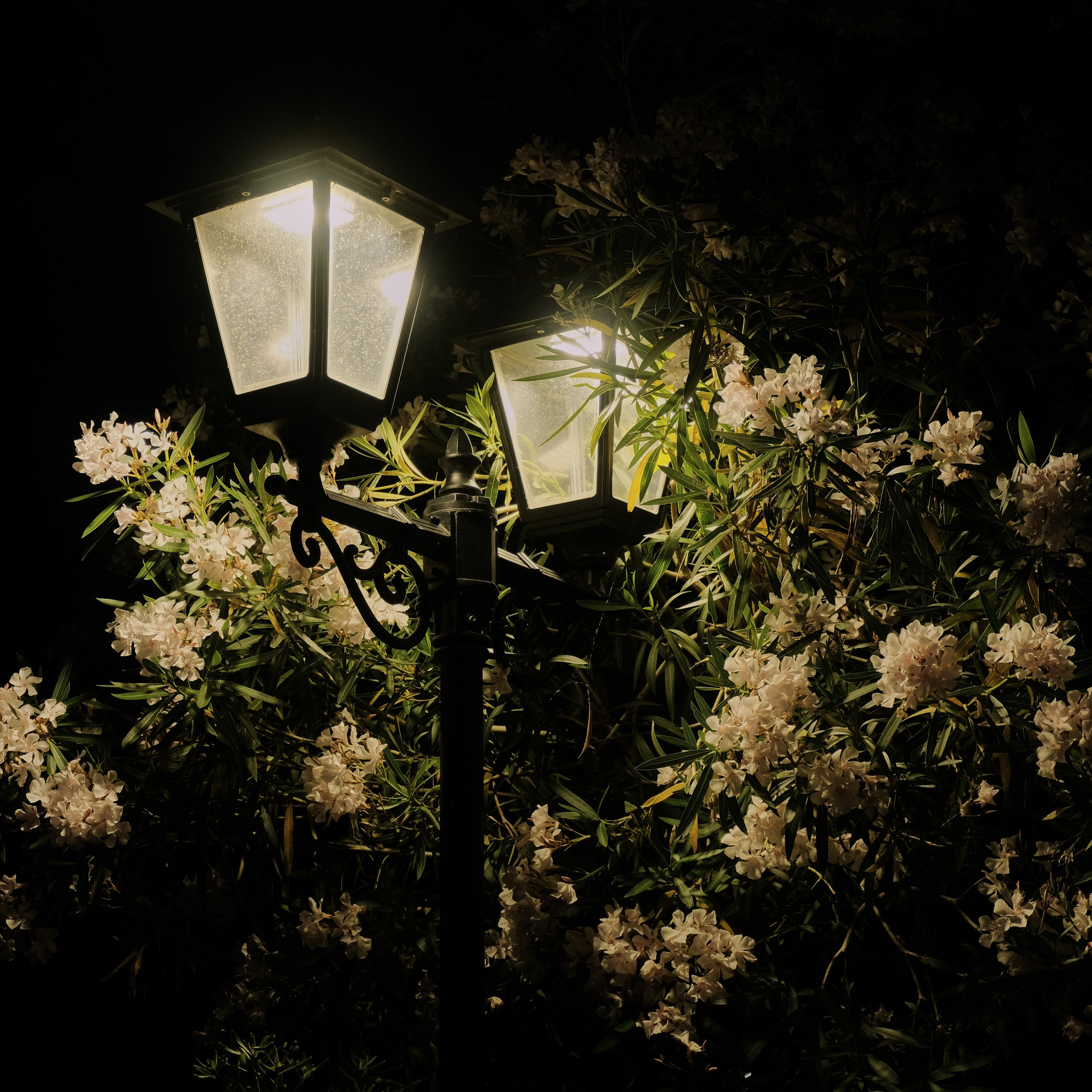 Montenegro. Creative travel photographer — Berg Daria