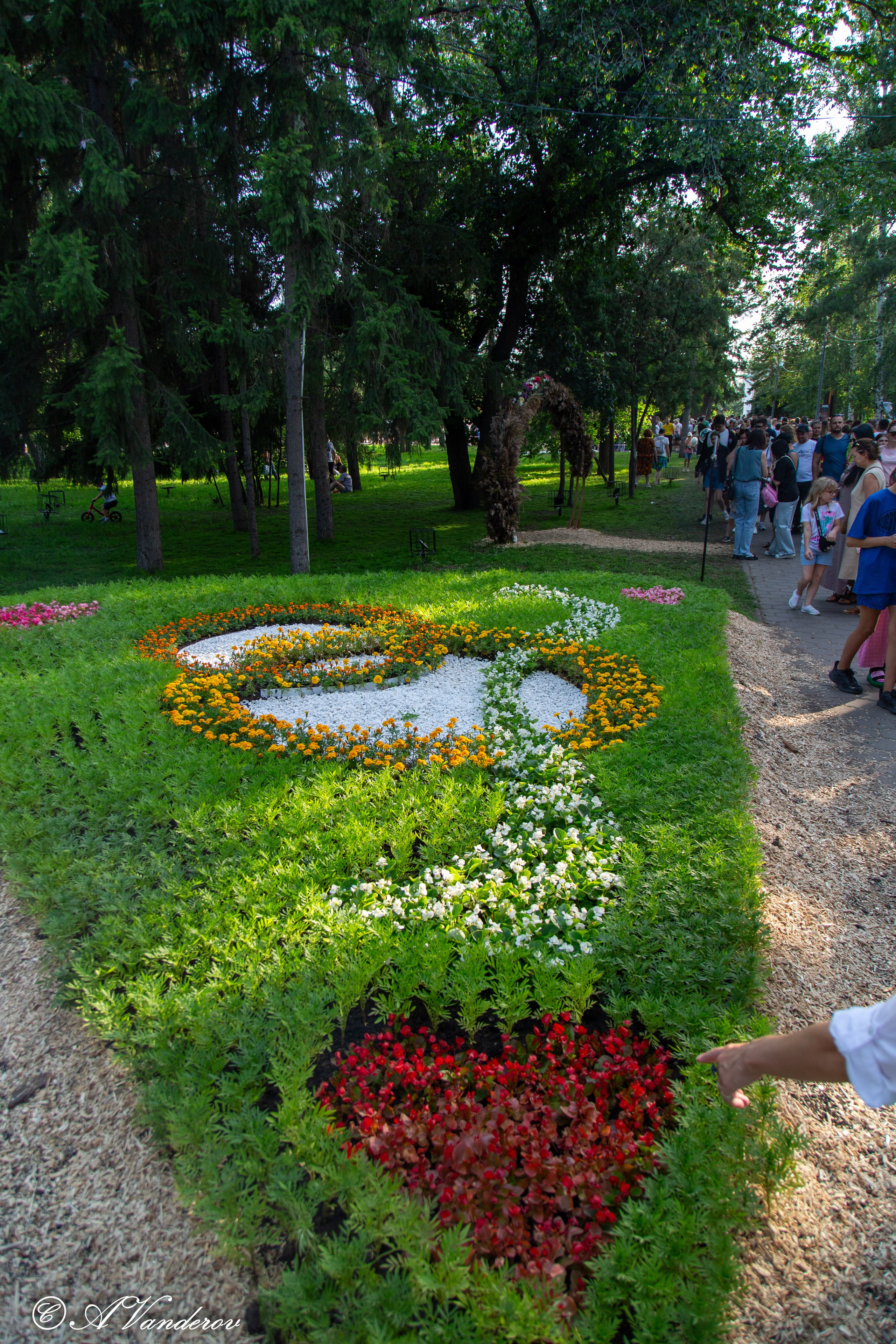 День города 03.08.2024. Фотограф Омск | Александр Вандеров
