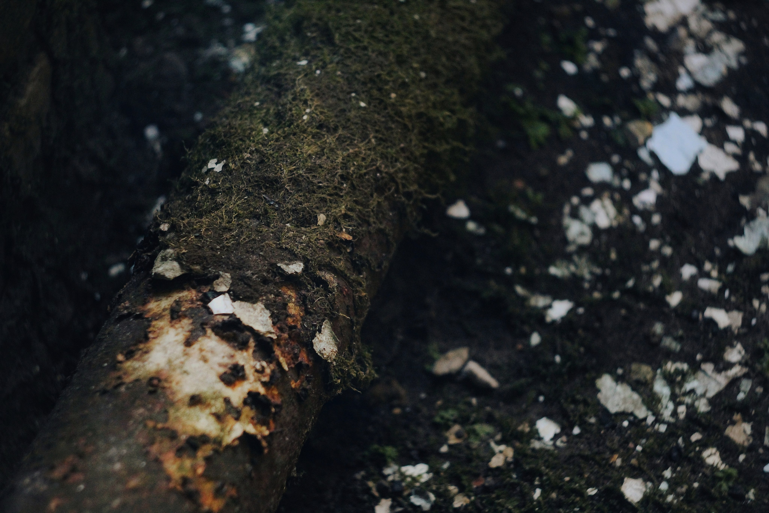 Исчезающие. Фотограф в Самаре Варвара Макарова