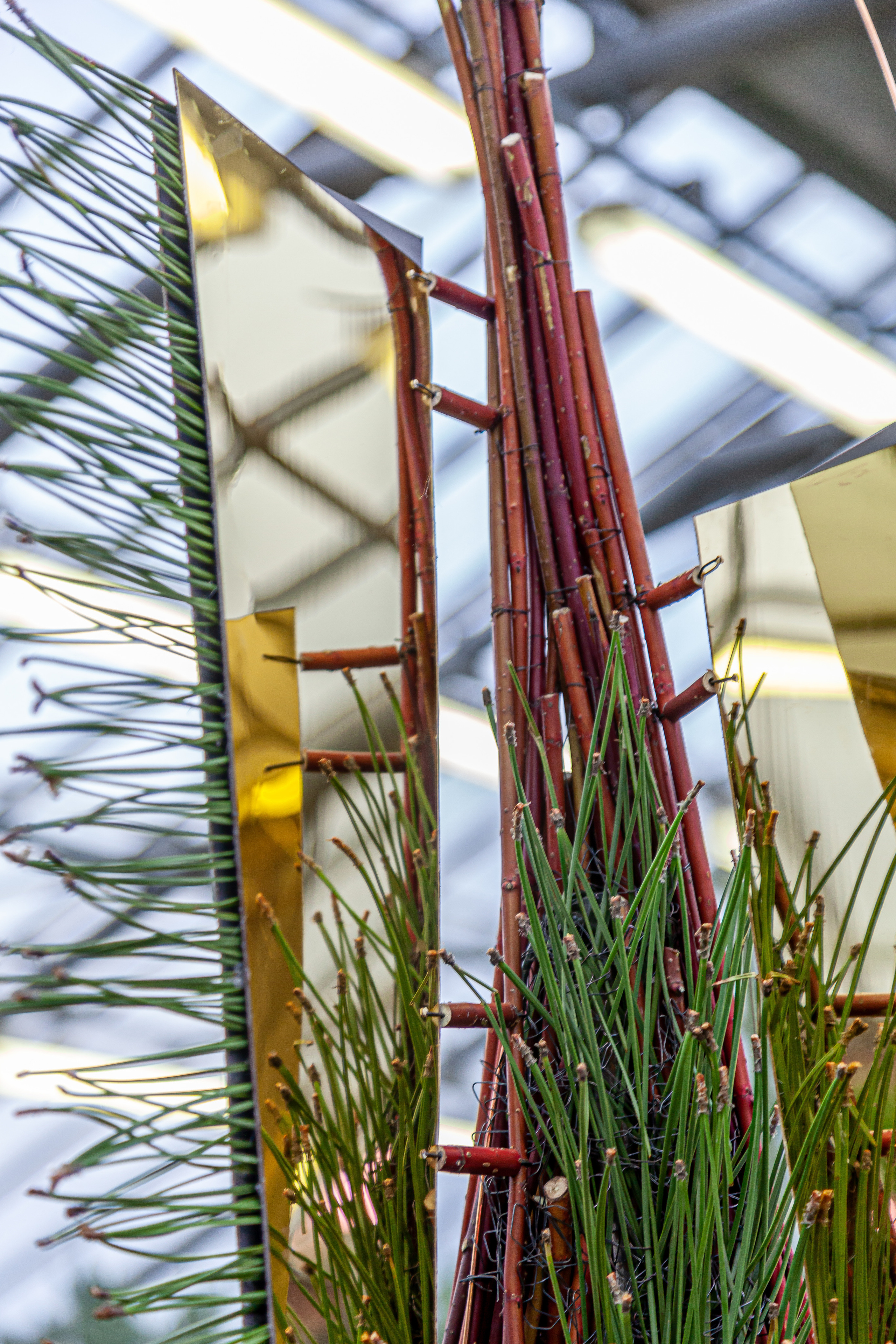 Флористы оформили Ботанический сад в Санкт-Петербурге. Maria Poleshchuk, commercial photographer in Sydney