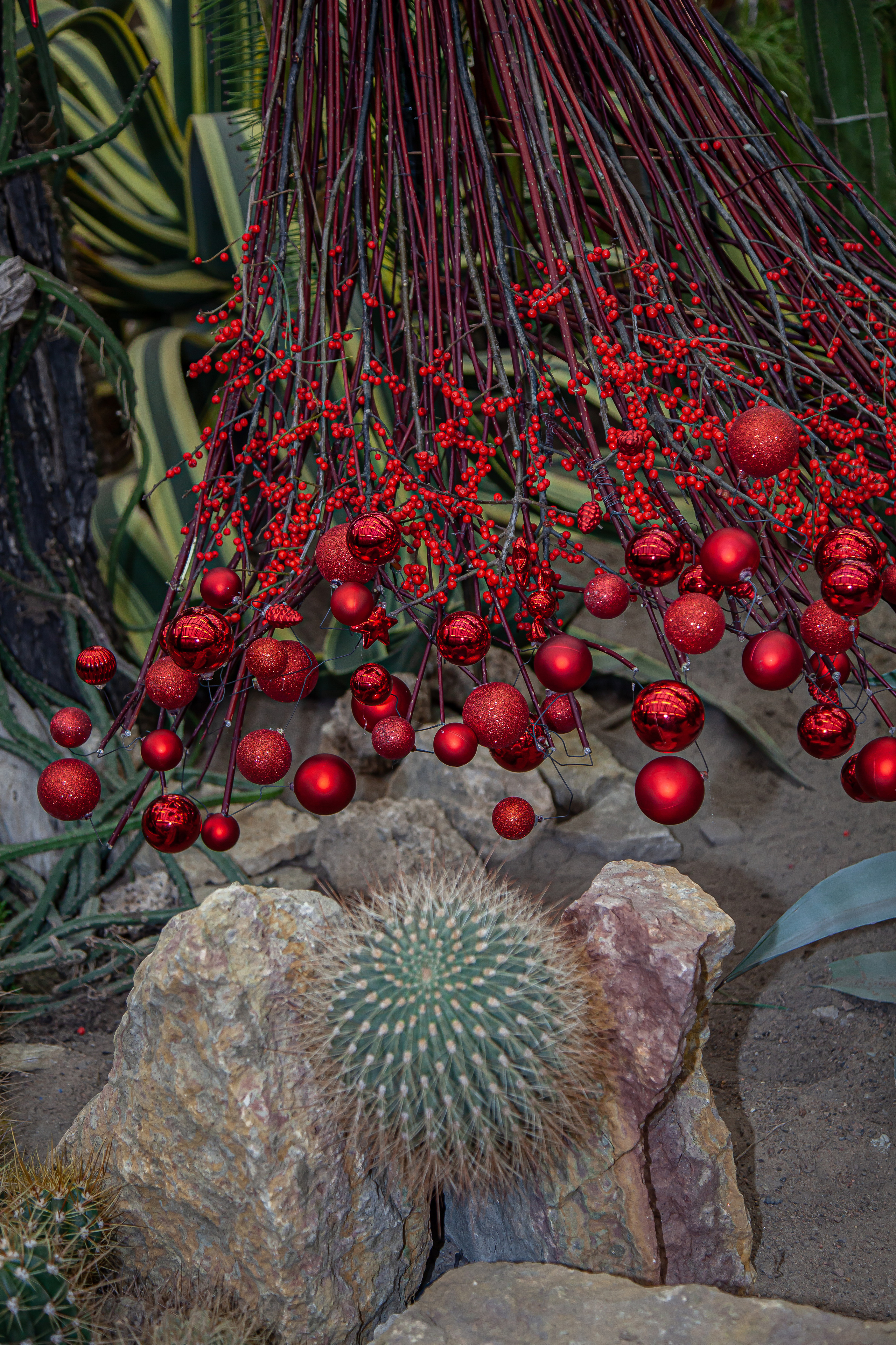 Флористы оформили Ботанический сад в Санкт-Петербурге. Maria Poleshchuk, commercial photographer in Sydney