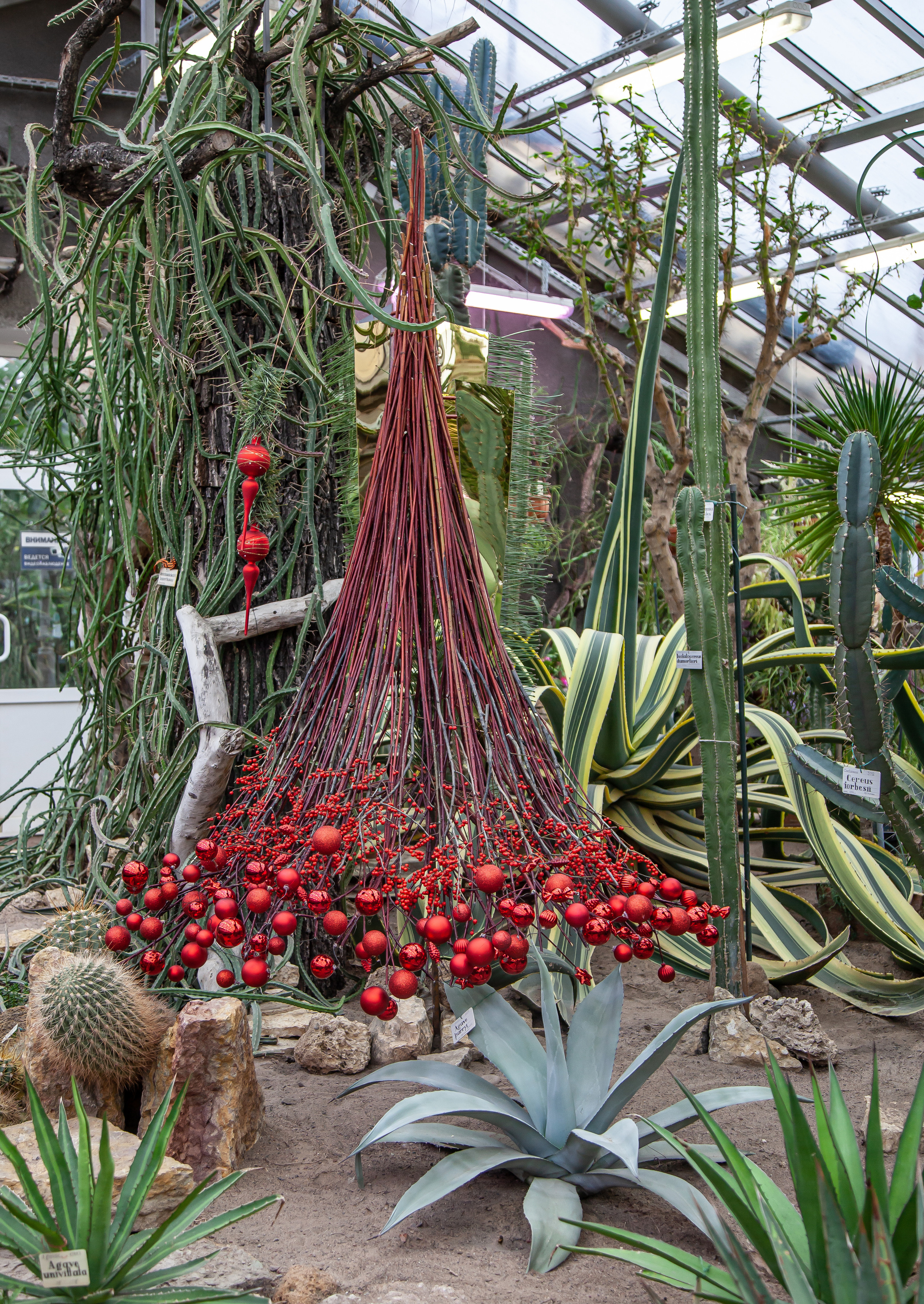 Флористы оформили Ботанический сад в Санкт-Петербурге. Maria Poleshchuk, commercial photographer in Sydney