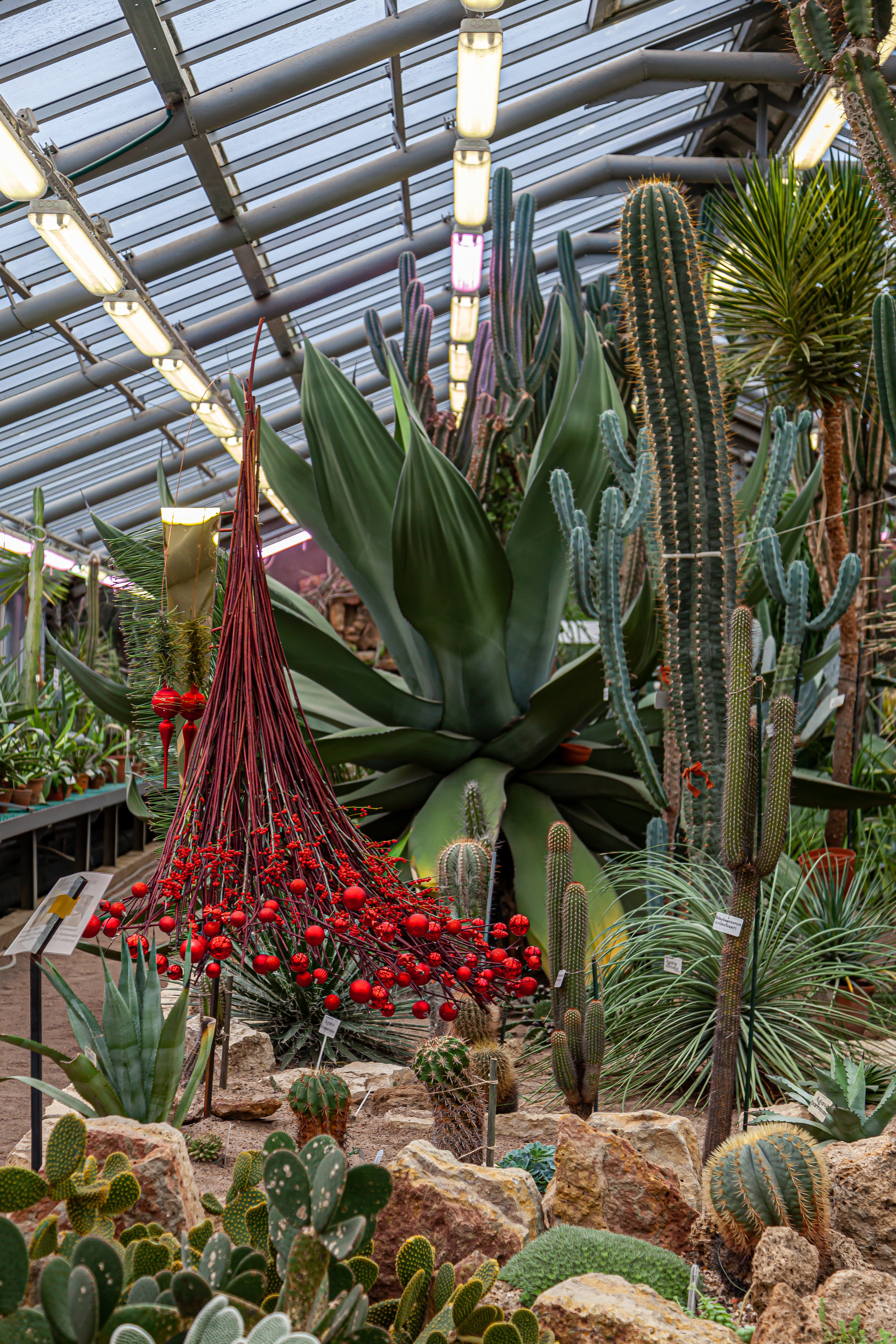 Флористы оформили Ботанический сад в Санкт-Петербурге. Maria Poleshchuk, commercial photographer in Sydney