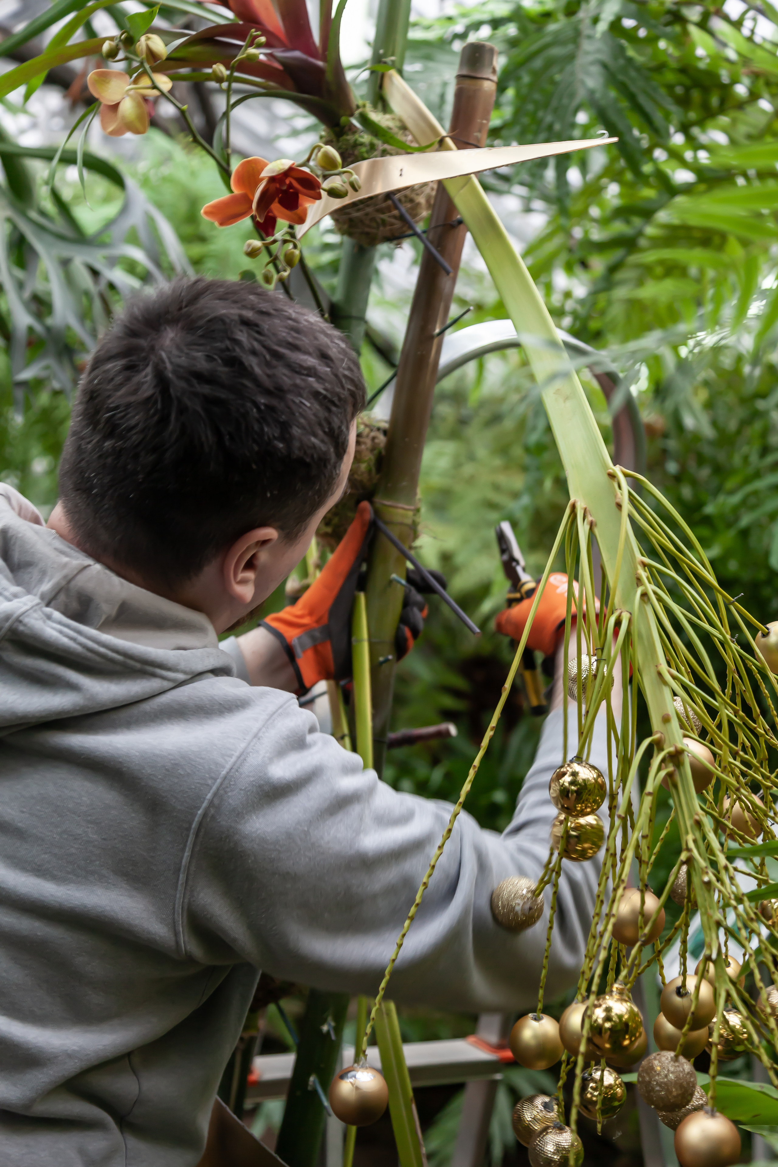 Флористы оформили Ботанический сад в Санкт-Петербурге. Maria Poleshchuk, commercial photographer in Sydney