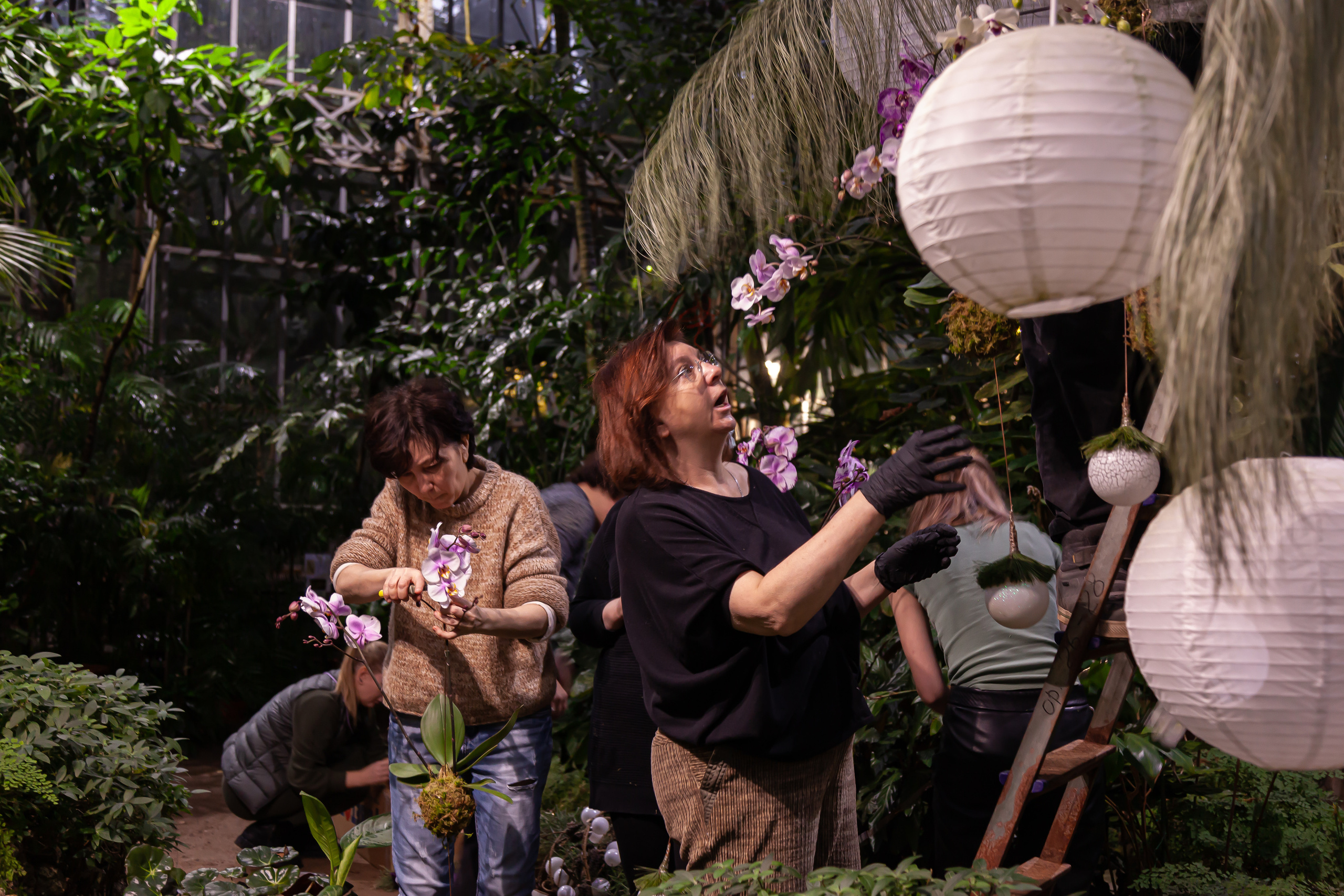 Флористы оформили Ботанический сад в Санкт-Петербурге. Maria Poleshchuk, commercial photographer in Sydney