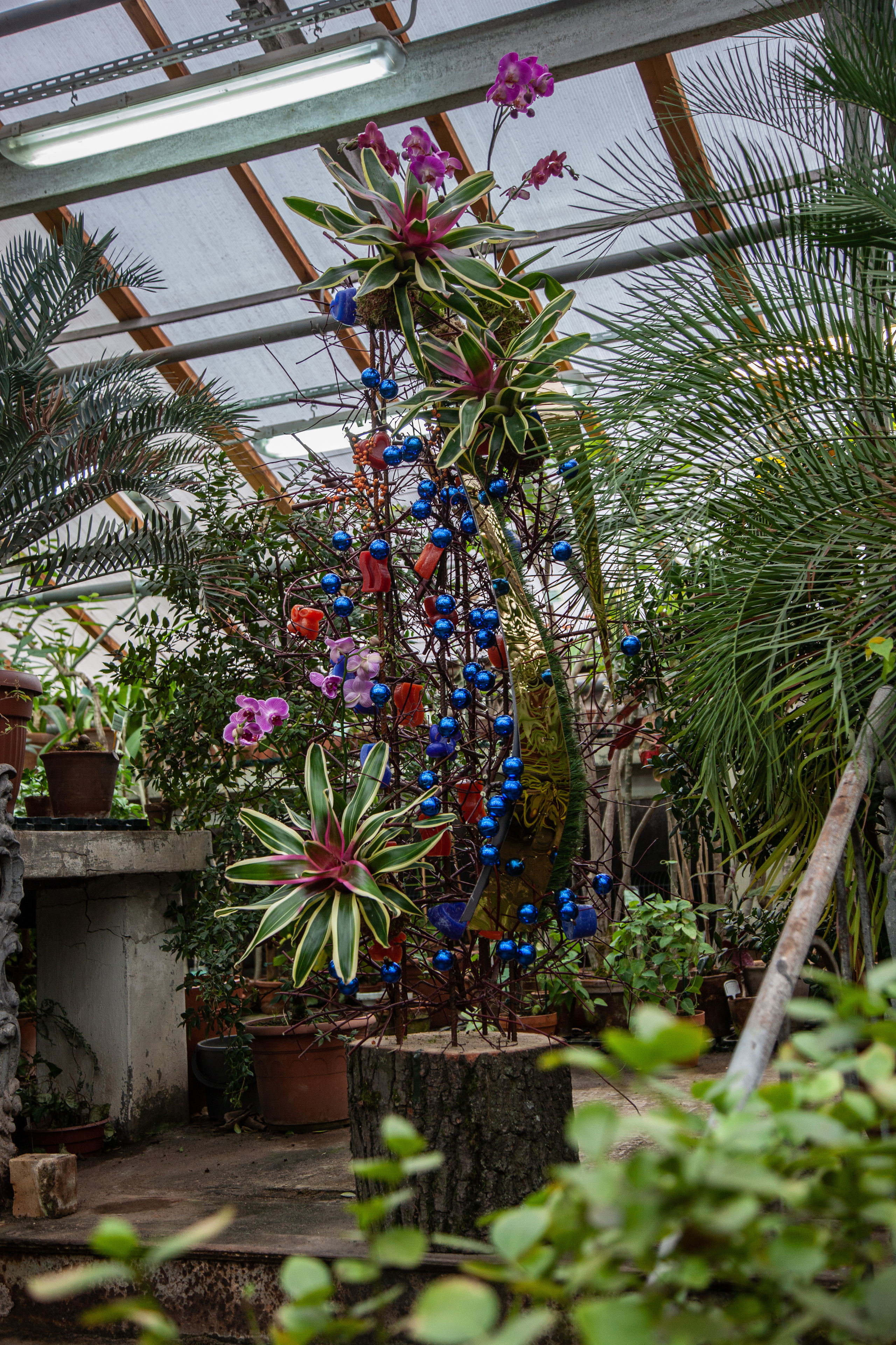 Флористы оформили Ботанический сад в Санкт-Петербурге. Maria Poleshchuk, commercial photographer in Sydney