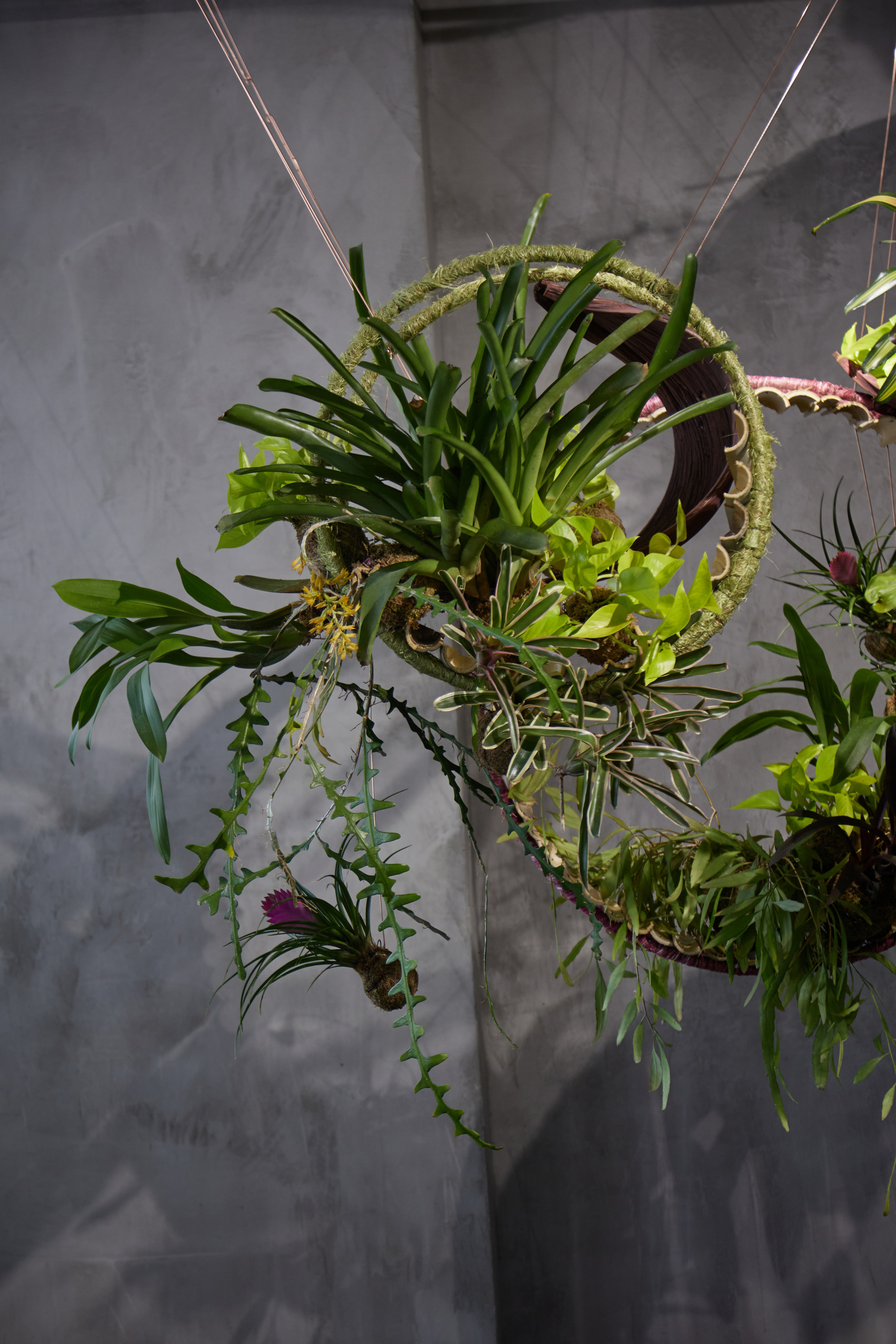 Андрей Филоненко и курс по фитодизайну в Николь. Maria Poleshchuk, commercial photographer in Sydney