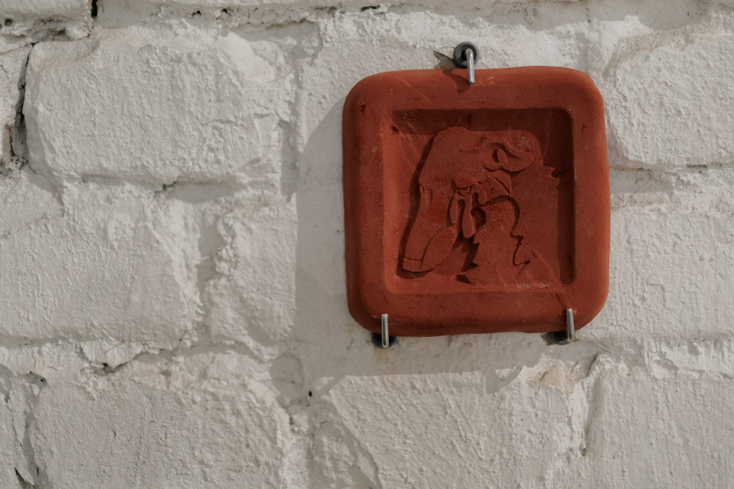 Жив был пёс. Собачий художник Поля Стриж