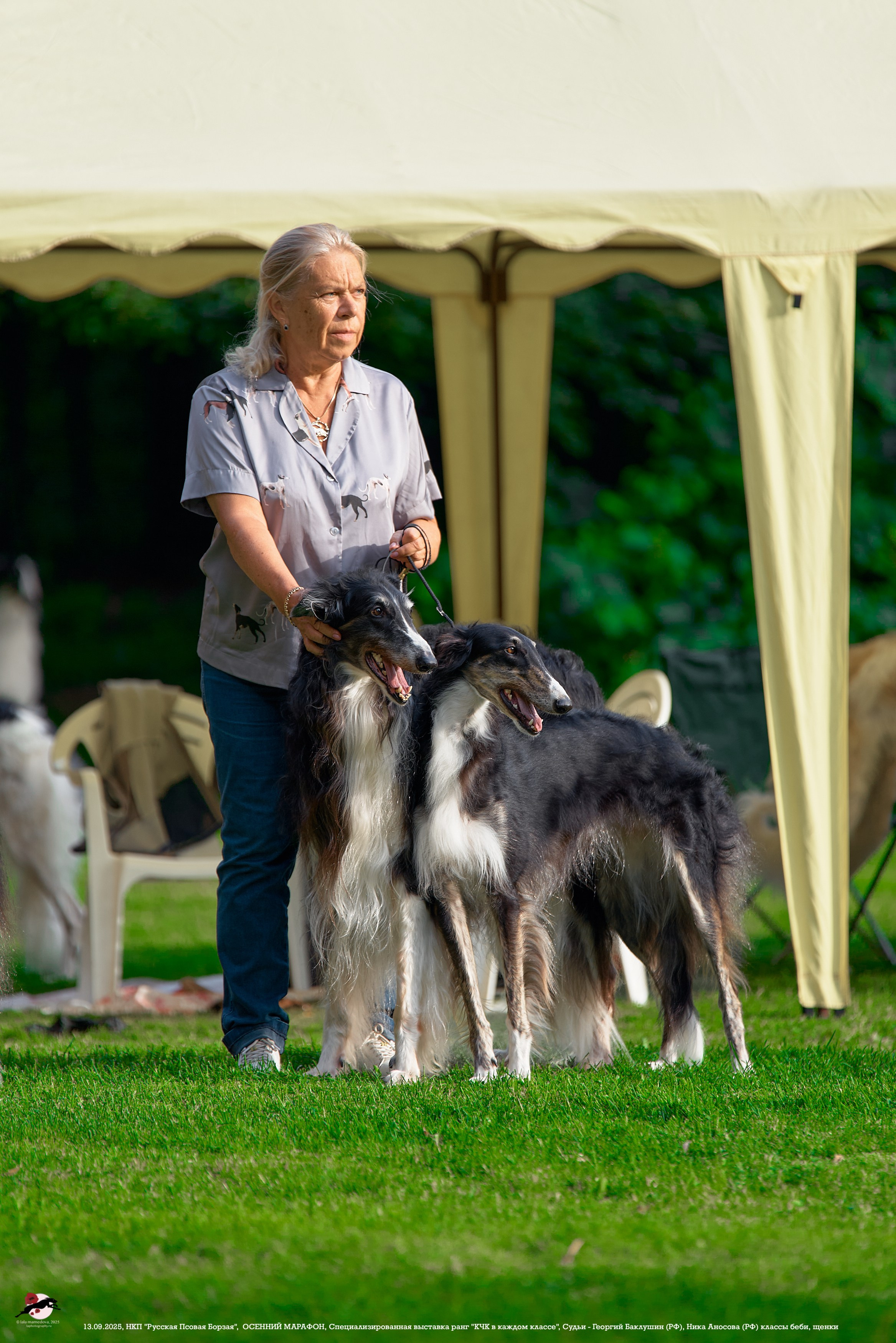 ОСЕННИЙ МАРАФОН | Специализированная выставка породы Русская Псовая Борзая ранг "КЧК в каждом классе"