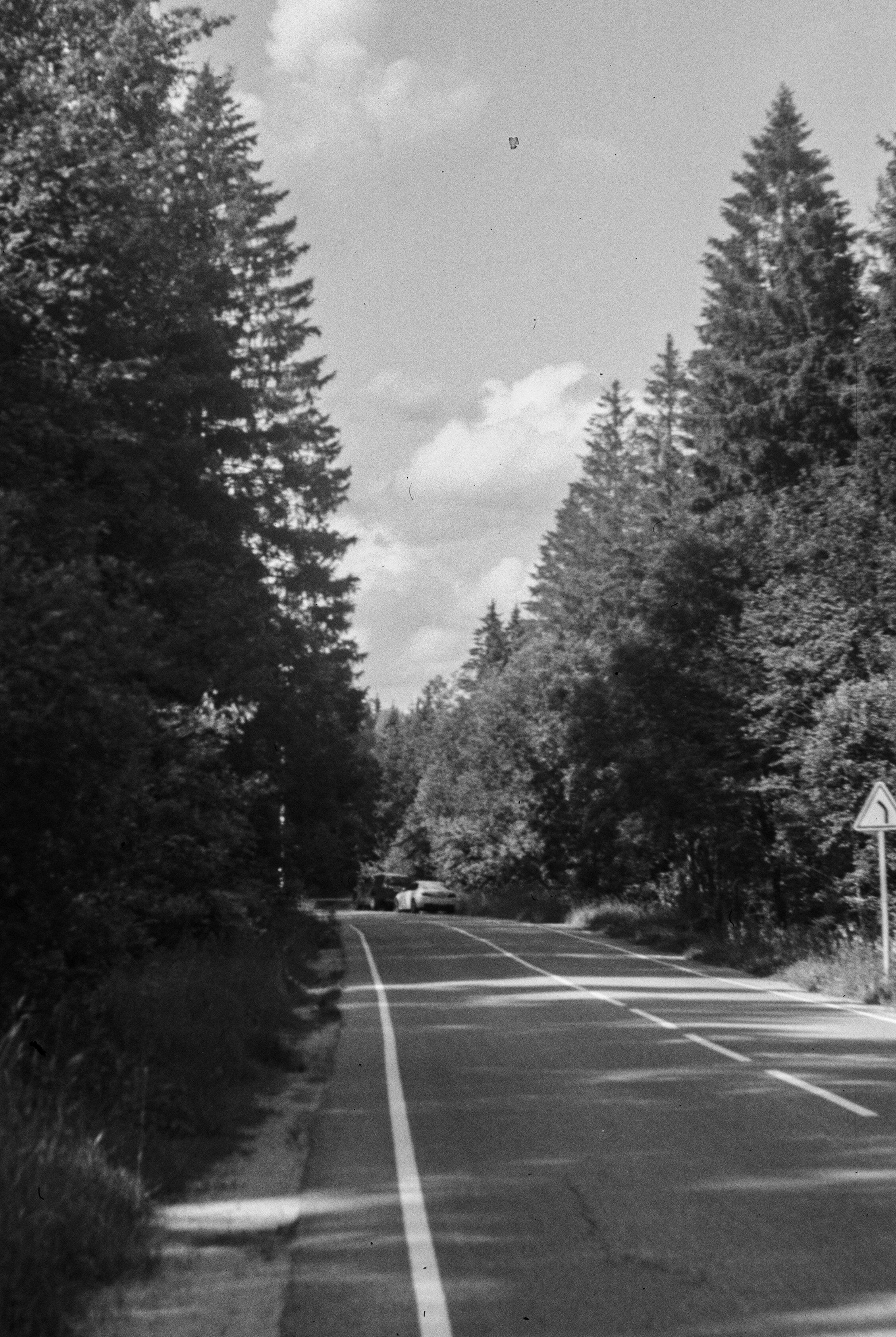 Zeiss Ikon Super Ikonta