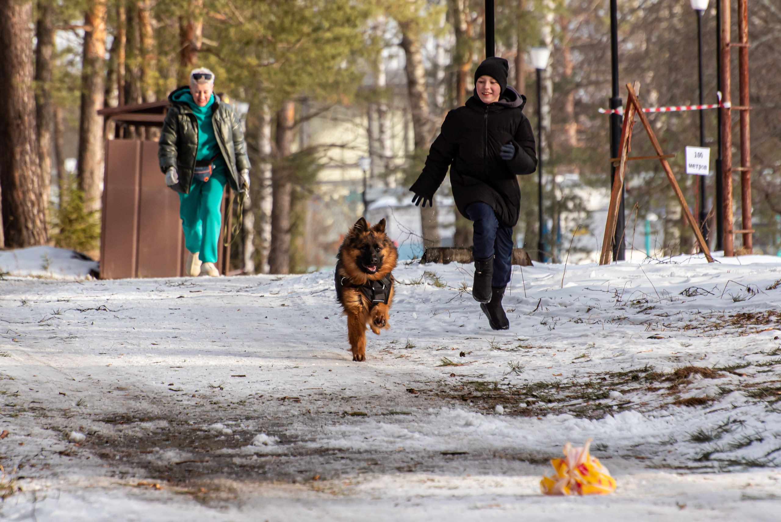 Фотосессии в кинологическом лагере. Фотограф Макс Огурцов в Нижнем Новгороде