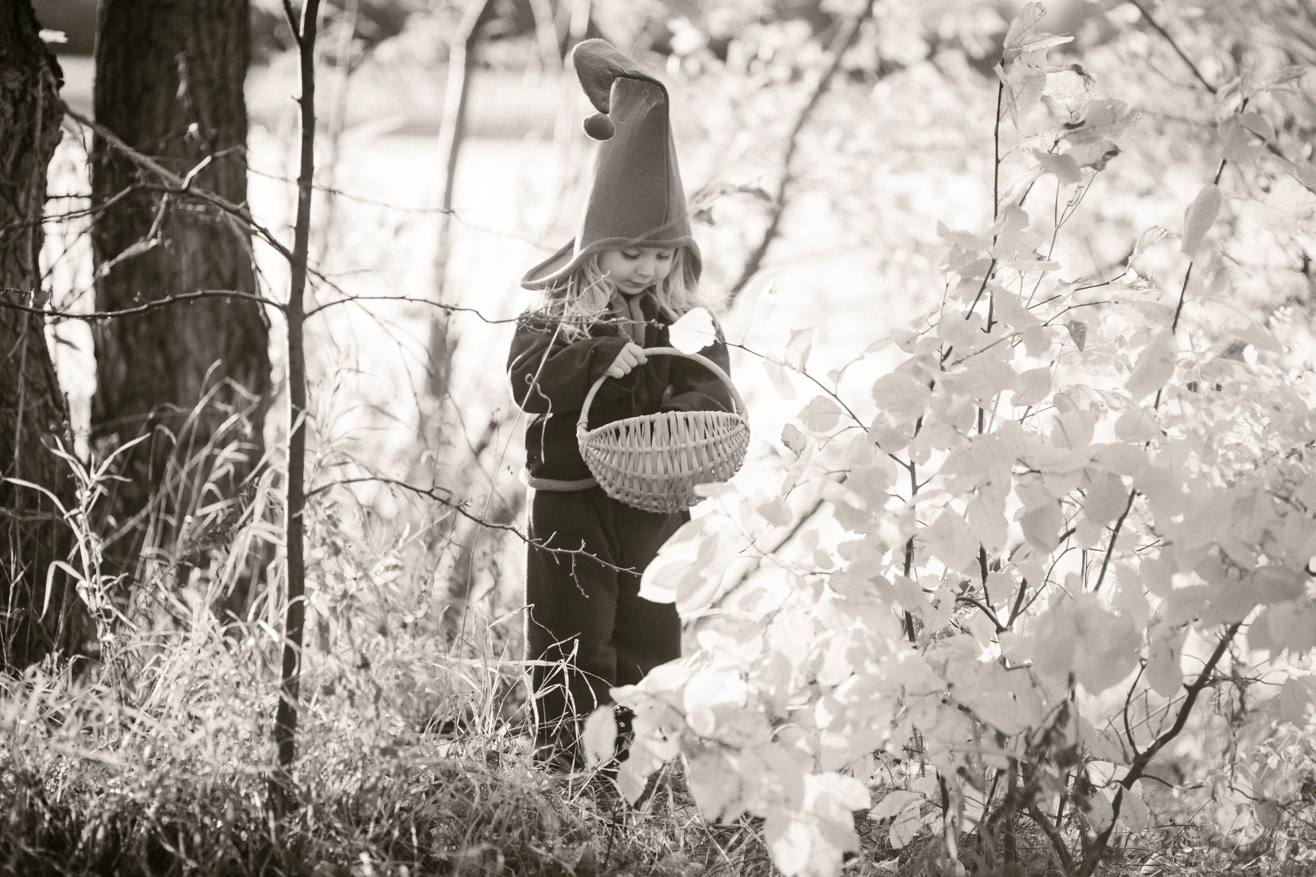 Лесные гномы