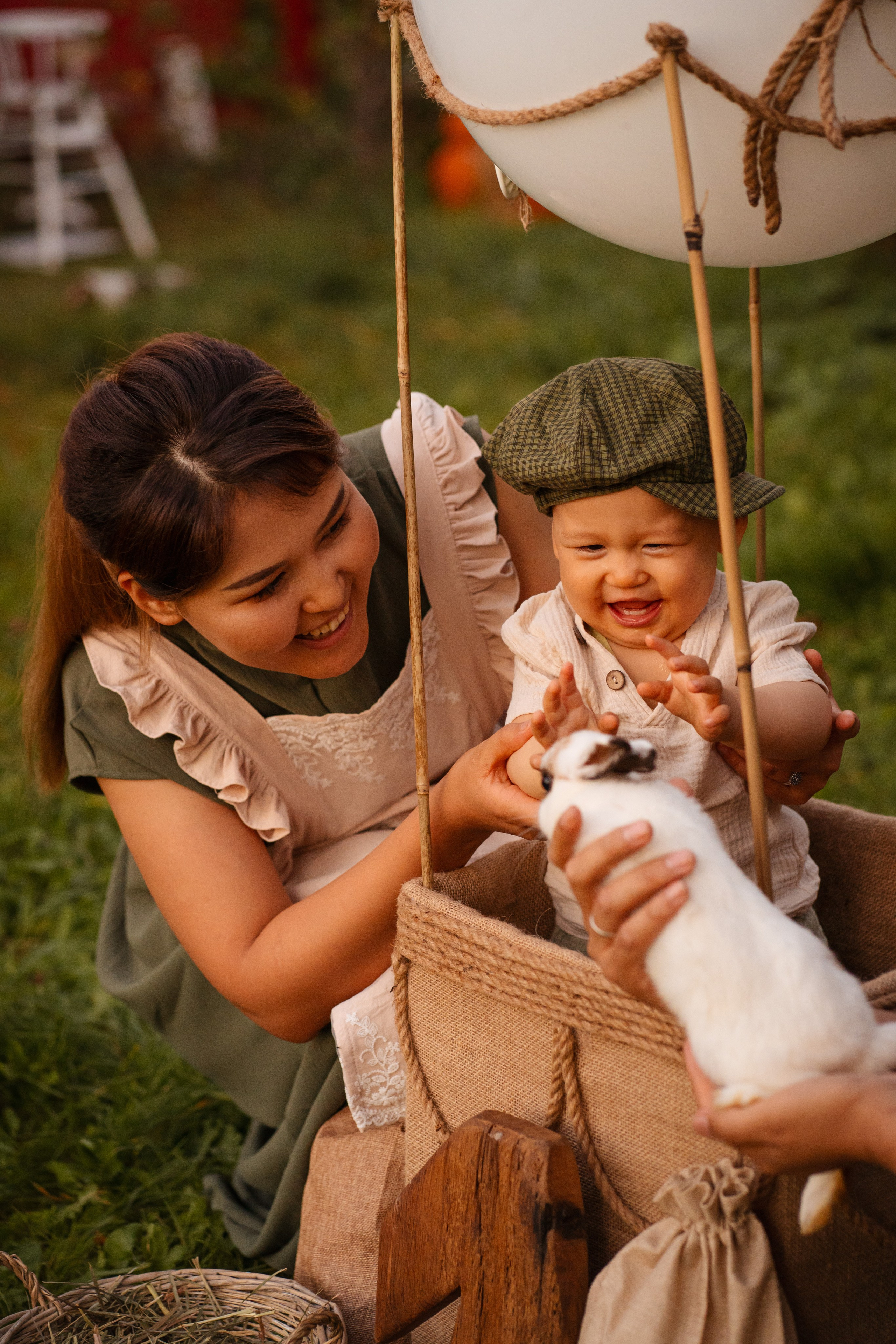 Фотосессии с животными. Мои работы