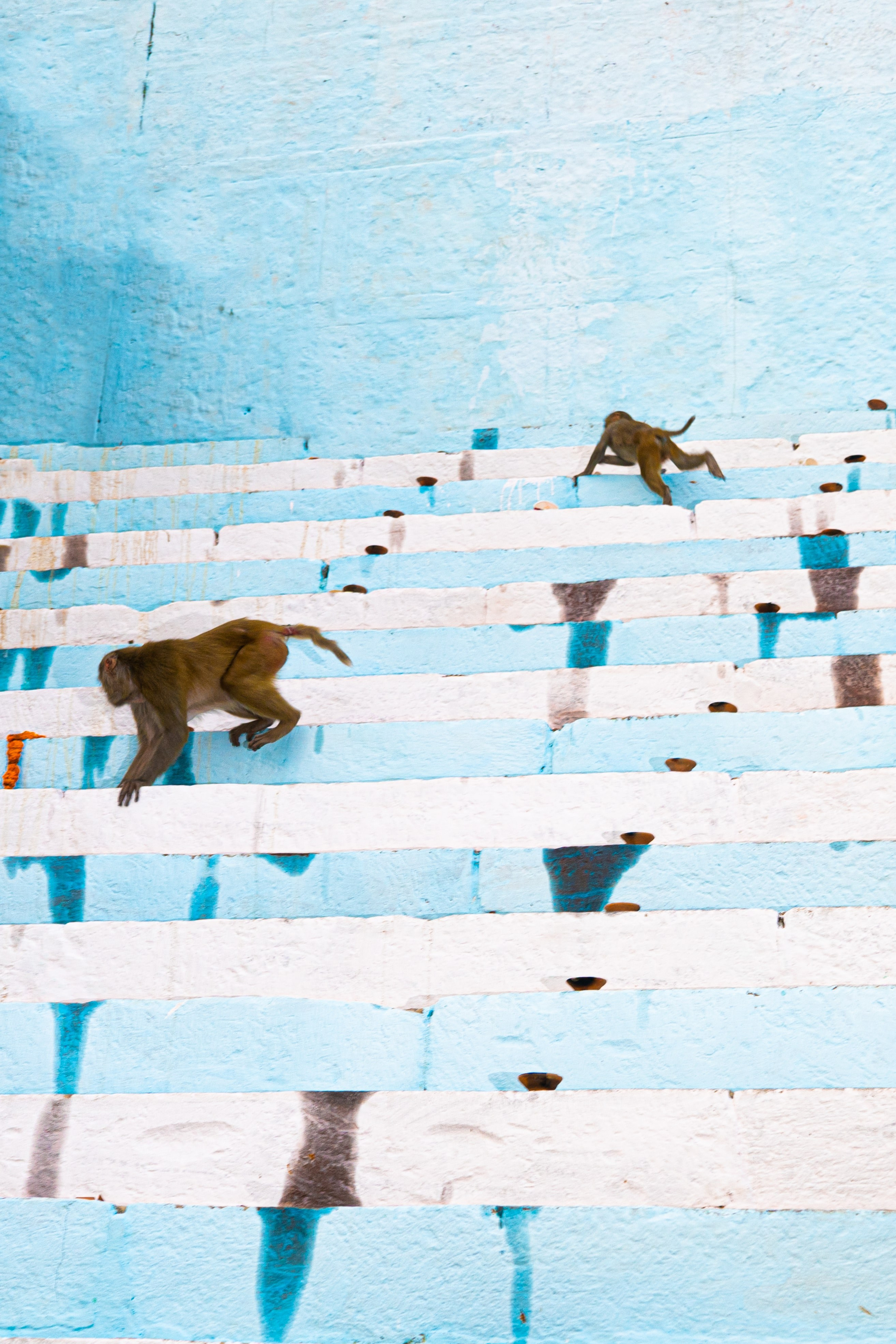 The Current That Carries Away. Alena Ahmadullina