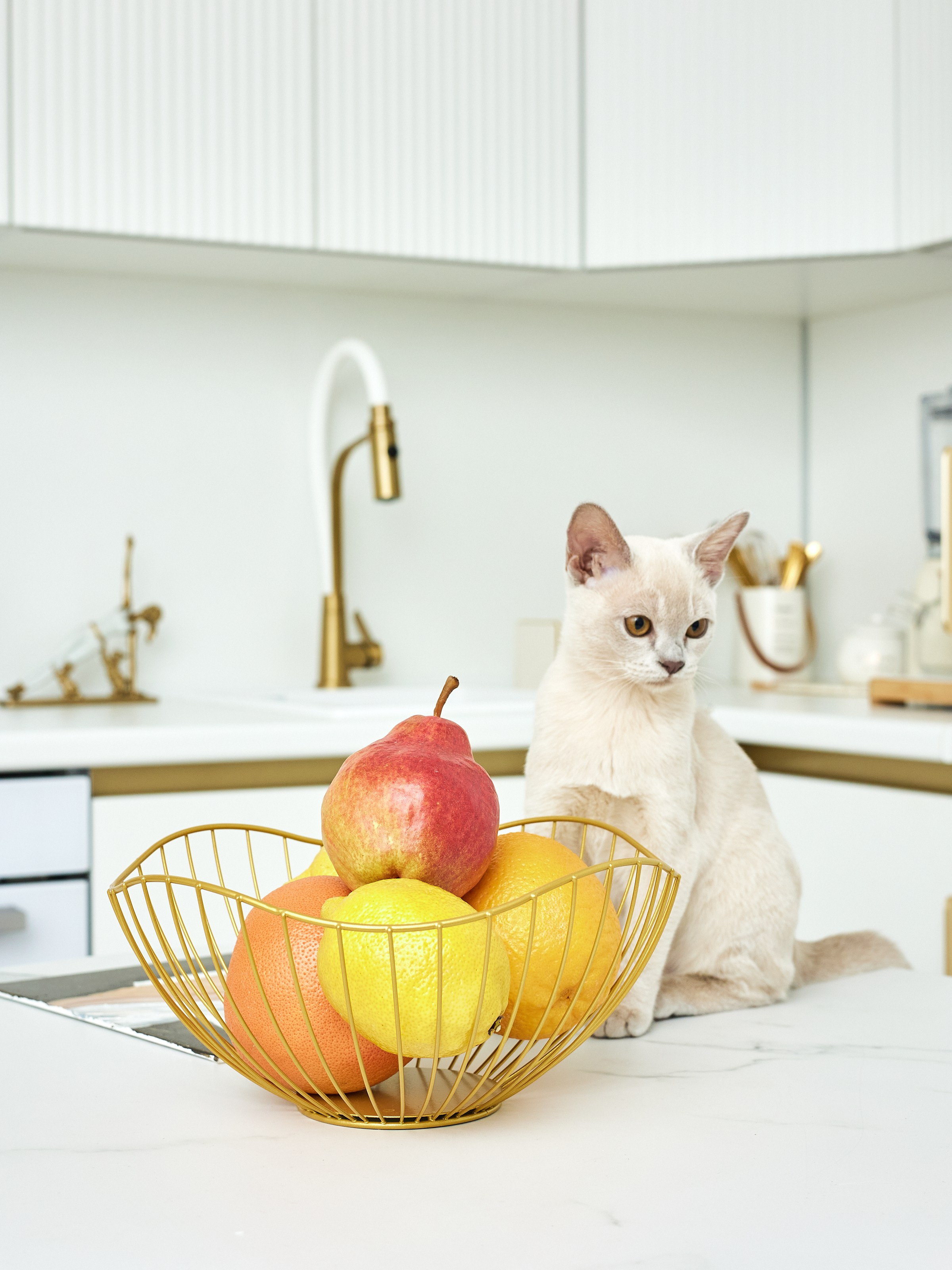 Сборные и индивидуальные съемки