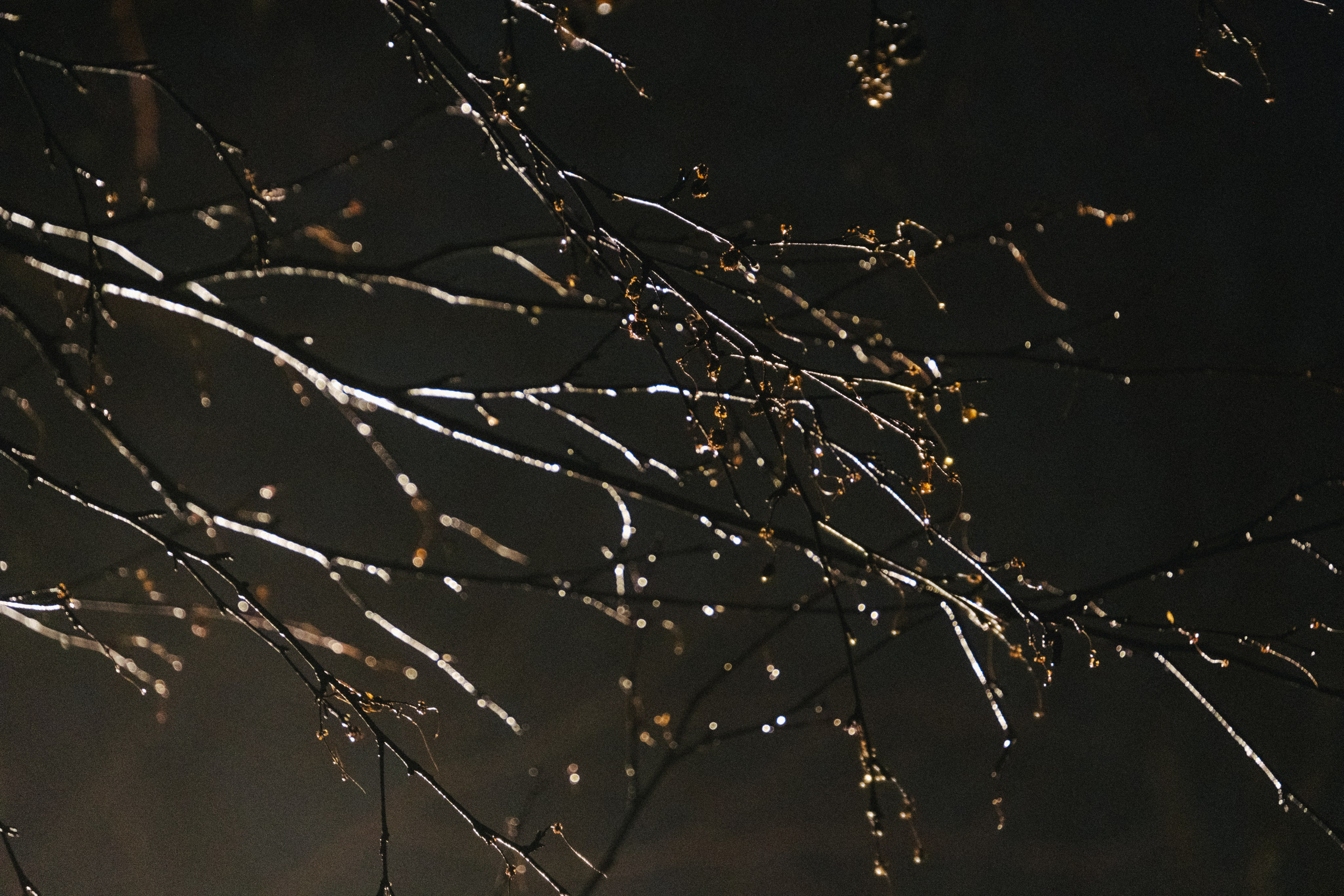 Великий Новгород моими глазами. Детский, семейный и ньюборн фотограф в Москве Юлия Шуарт