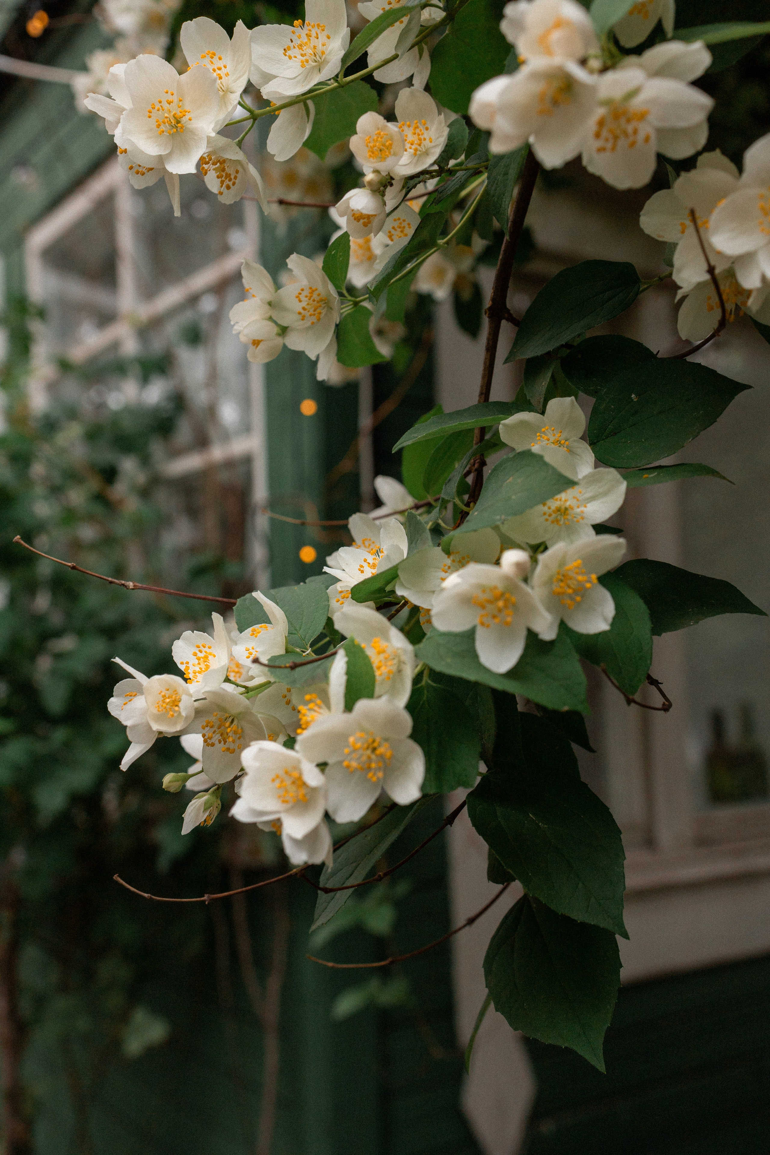 Семья Мазаевых. Портретный фотограф в Москве Кислая Елизавета