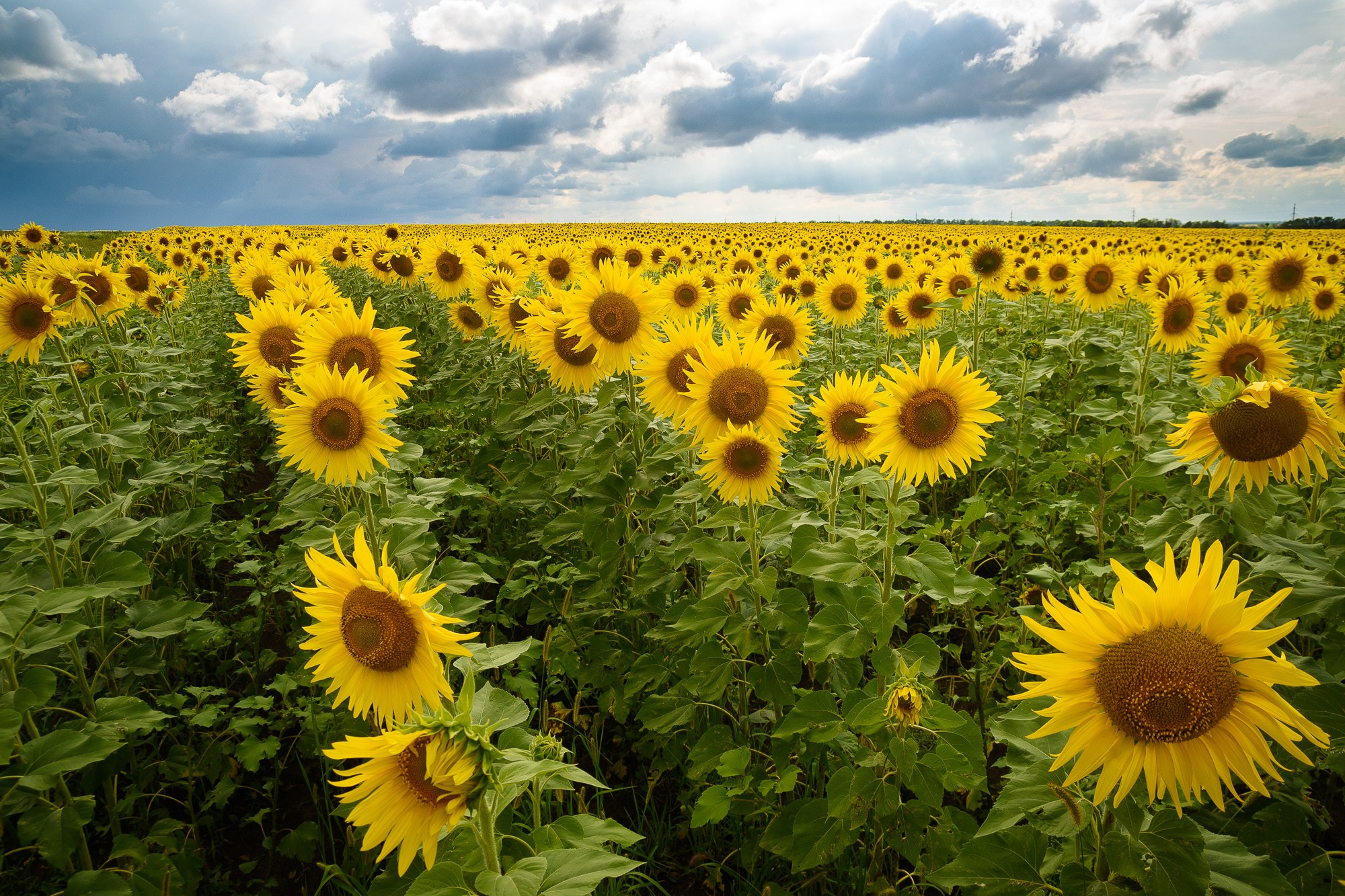 #ТелекомВолгоград. Урюпинск. Репортажный и концертный фотограф в Волгограде Павел Панько