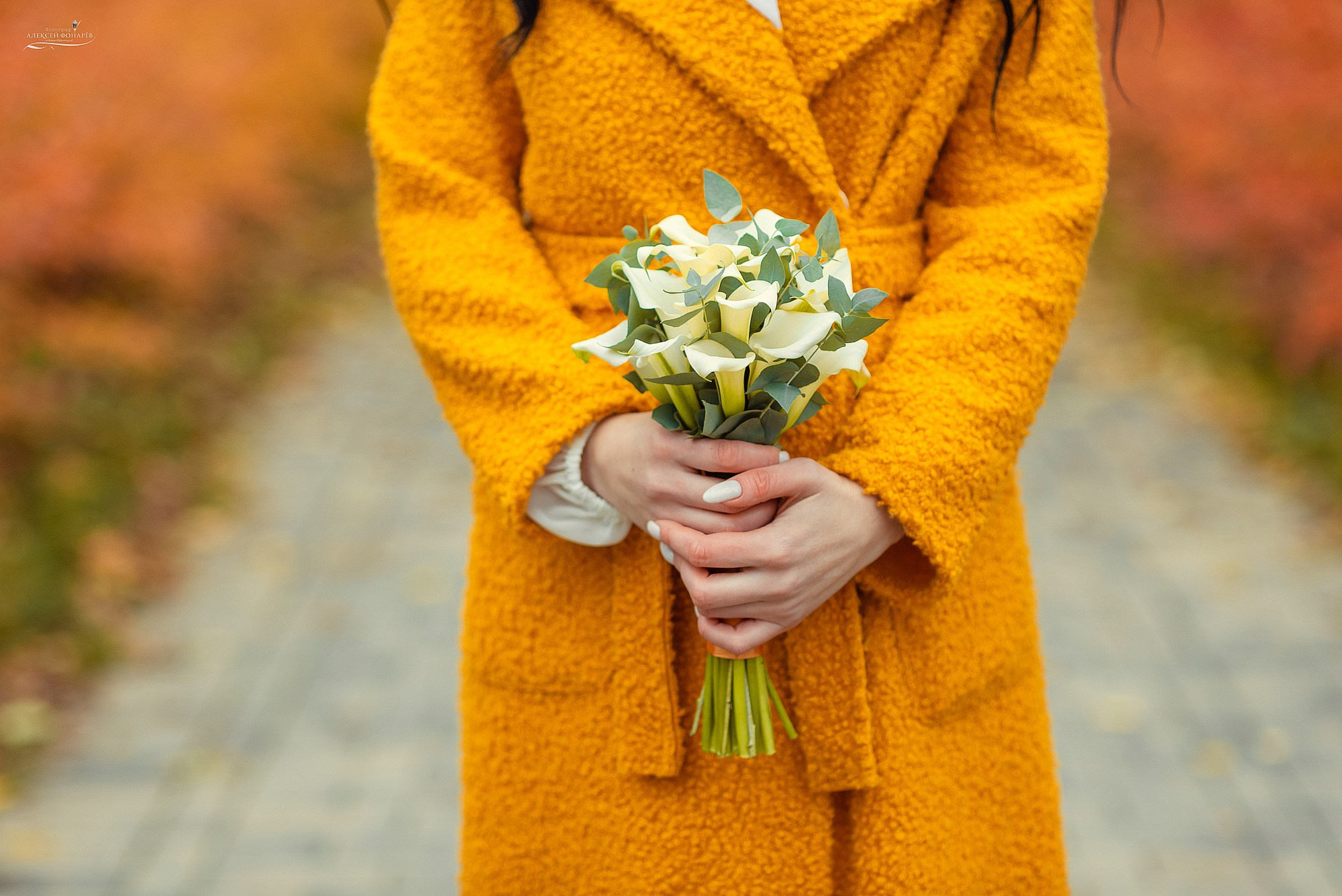Свадебный фотограф в Талдоме и Дубне. Свадебный фотограф в Дубне Алексей Фонарёв