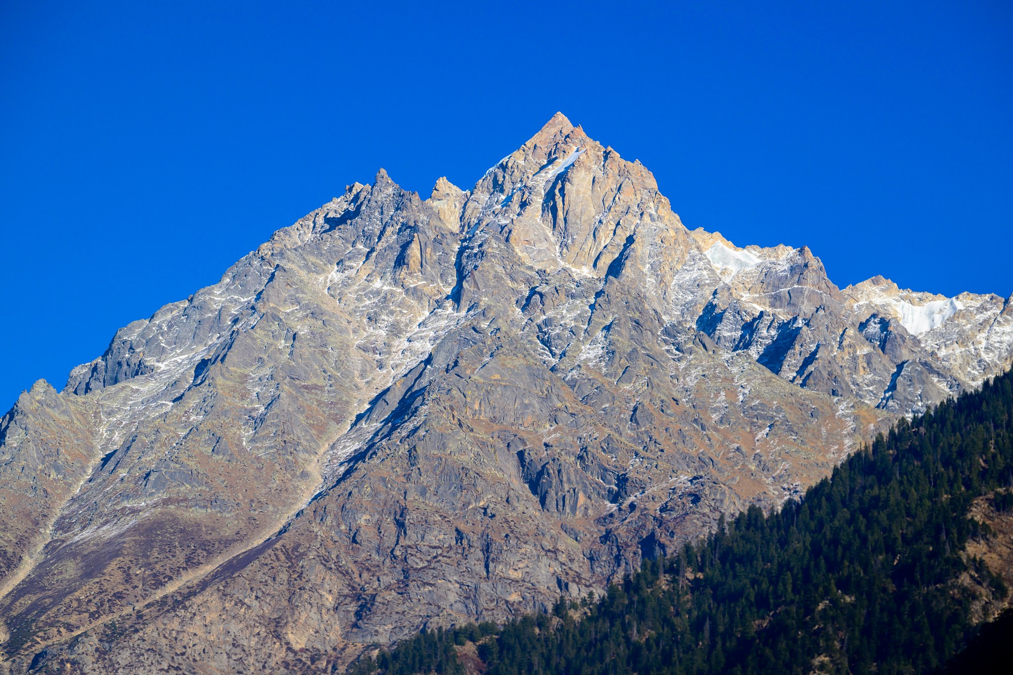 Путешествие в долину Спити: снежные барсы и духовное наследие Гималаев. Wildlife photography by Sergey Puponin