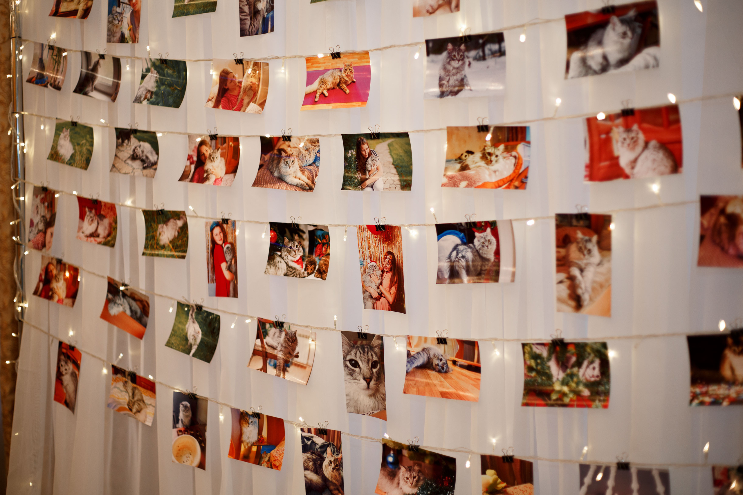 Андрей и Тамара. Свадебный портретный фотограф в Екатеринбурге Наталья Суркова