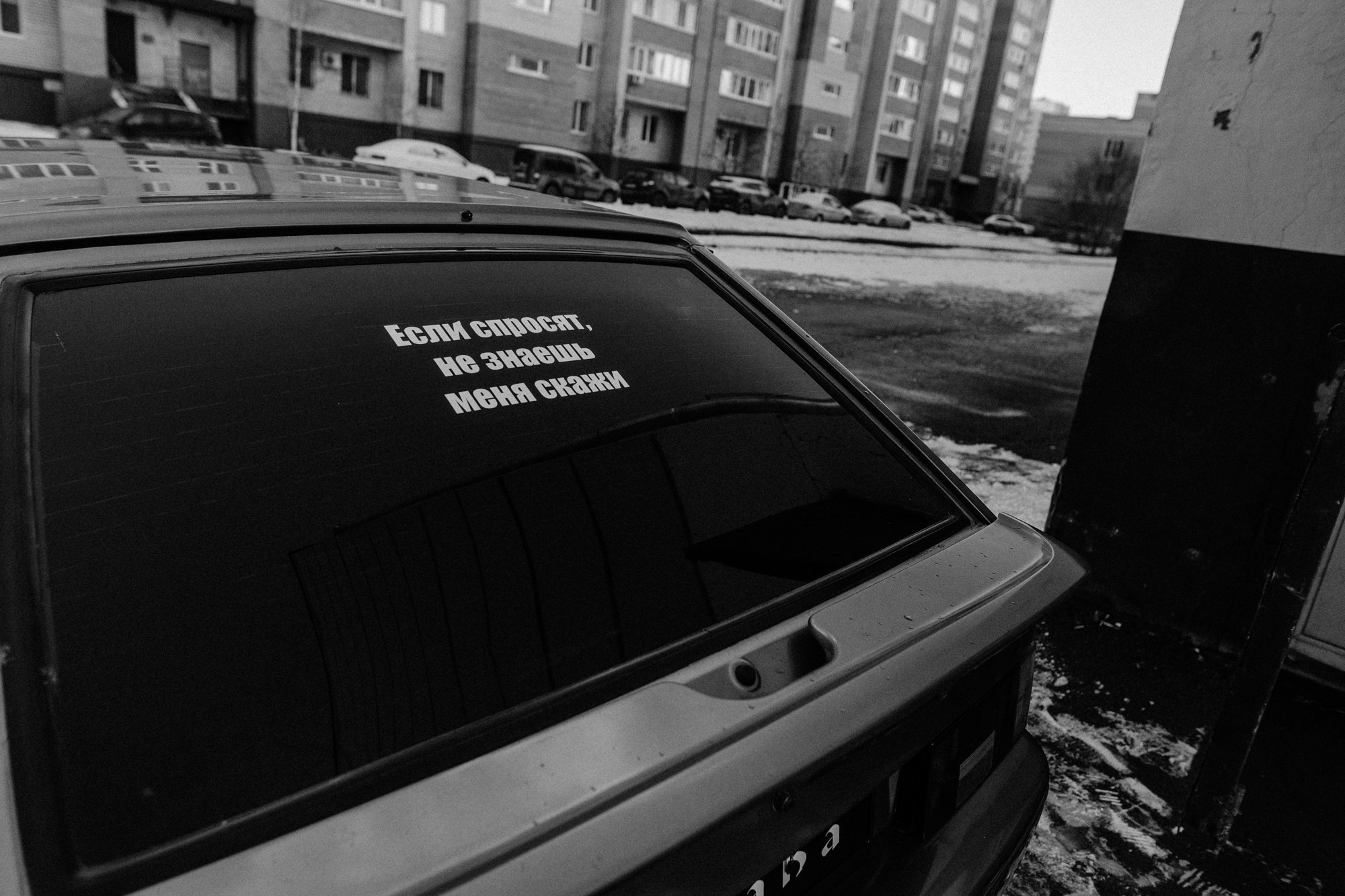 Мужская фотосессия с собакой в Тюмени — Саша и Тони. Фотограф Дарья Мустафина, Тюмень