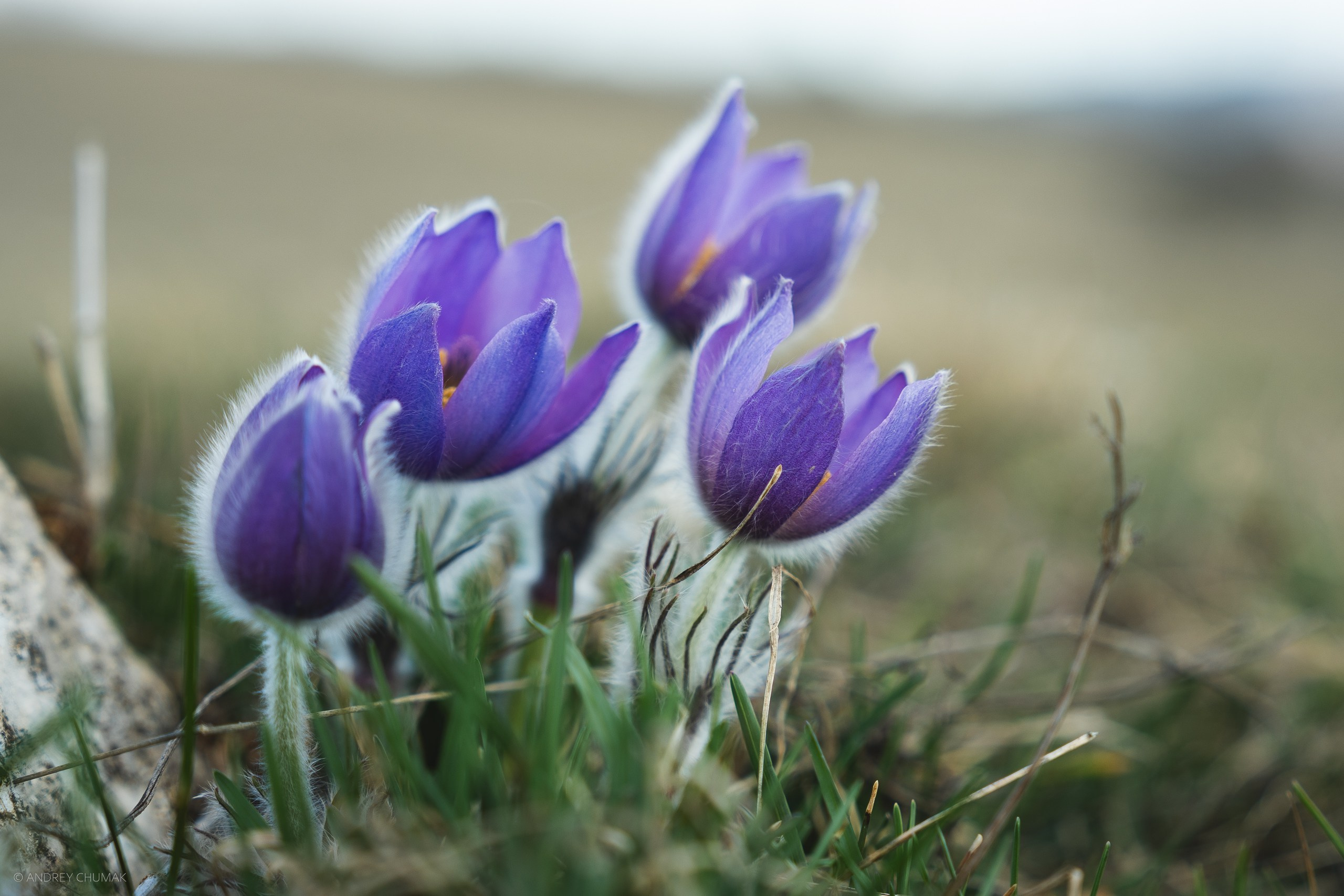 Анонс на фотопоходы в апреле. Универсальный фотограф по Крыму