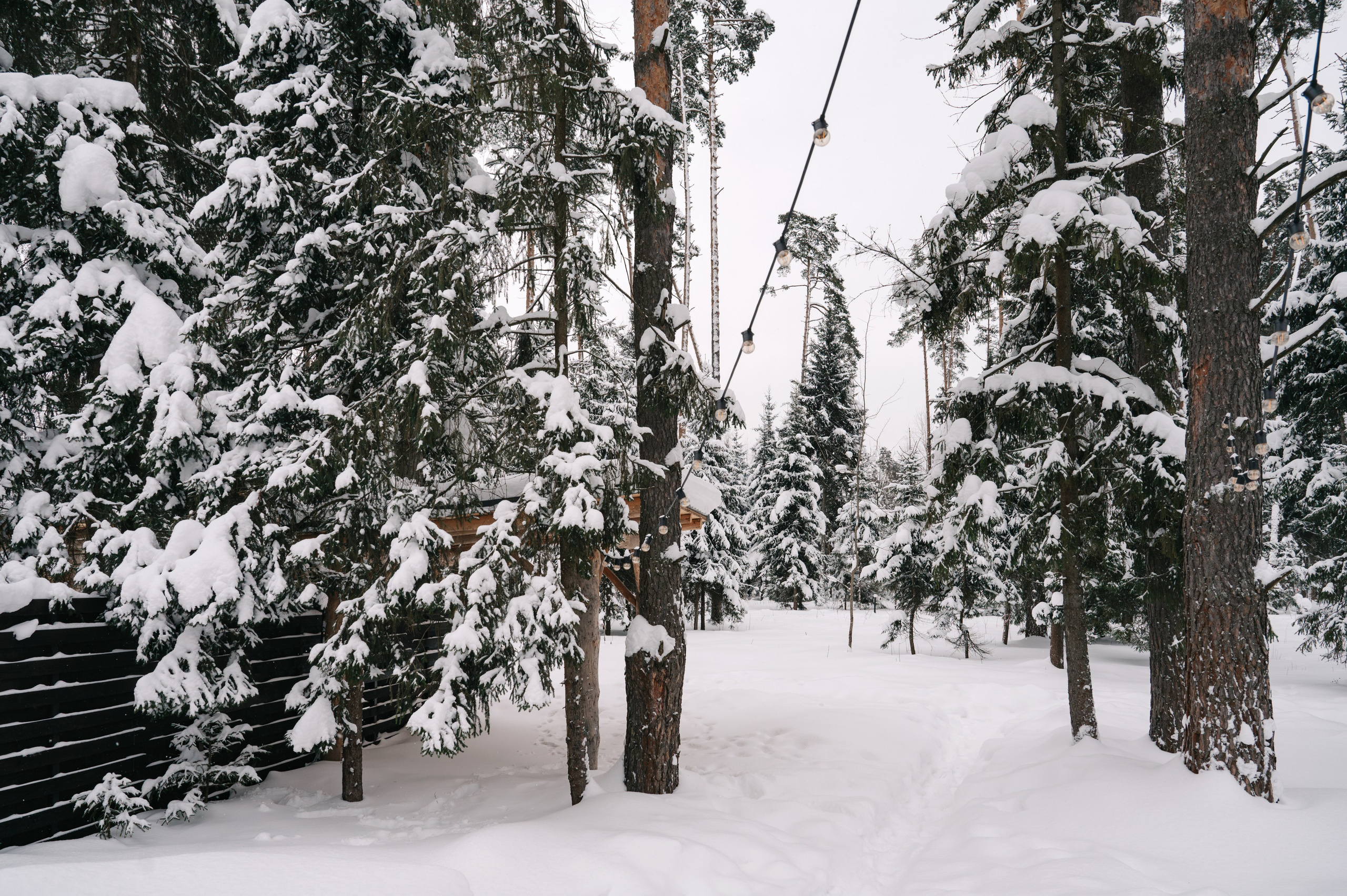 Фотосъемка для наполнения сайта загородного отеля Барин. Свадебный и семейный фотограф Виктория Носачёва. Щелково, Москва и МО