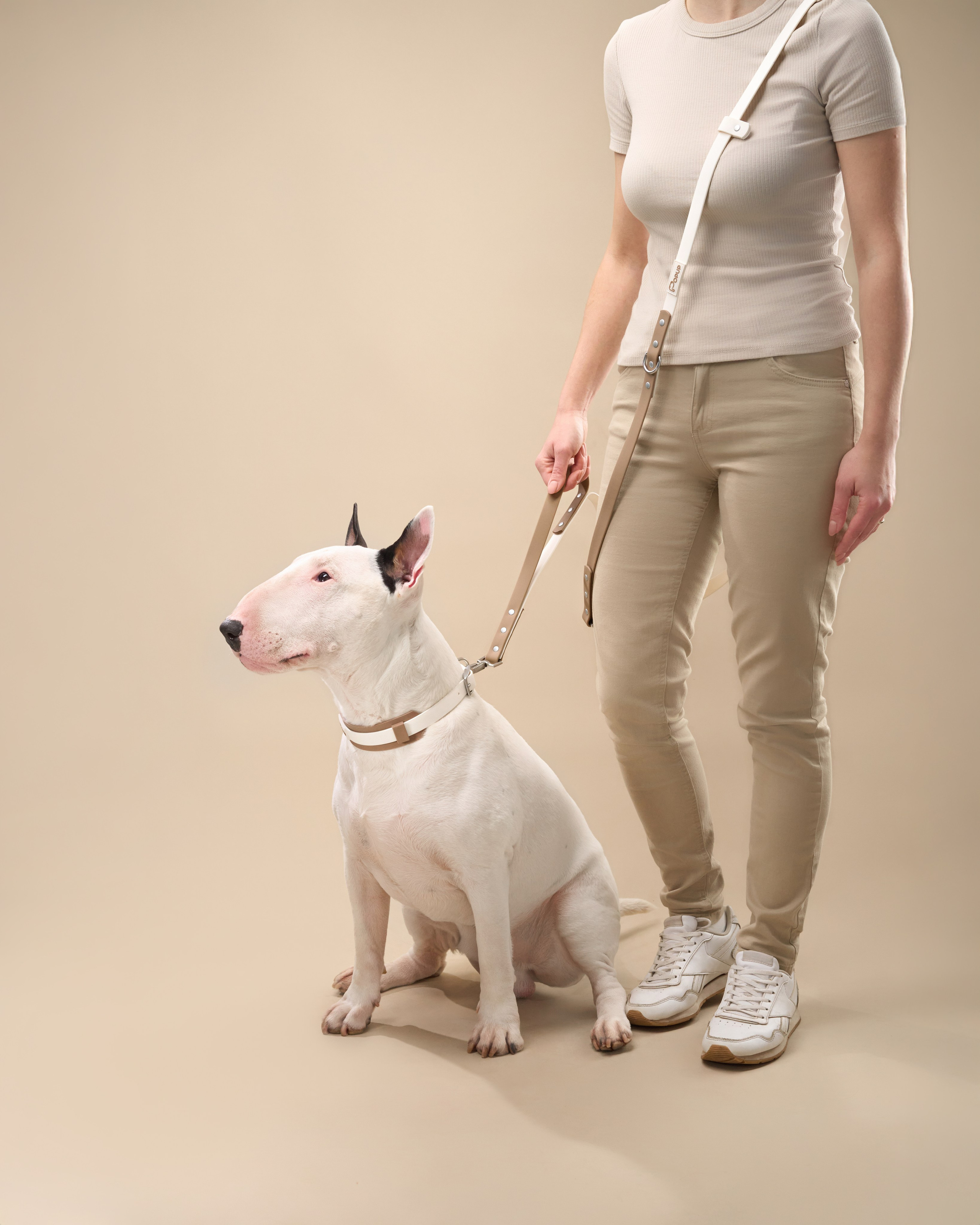 Pet Advertising Photography | Commercial Shoots with Dogs & Cats. Dog photographer Averianova Anna — Art photography of dogs