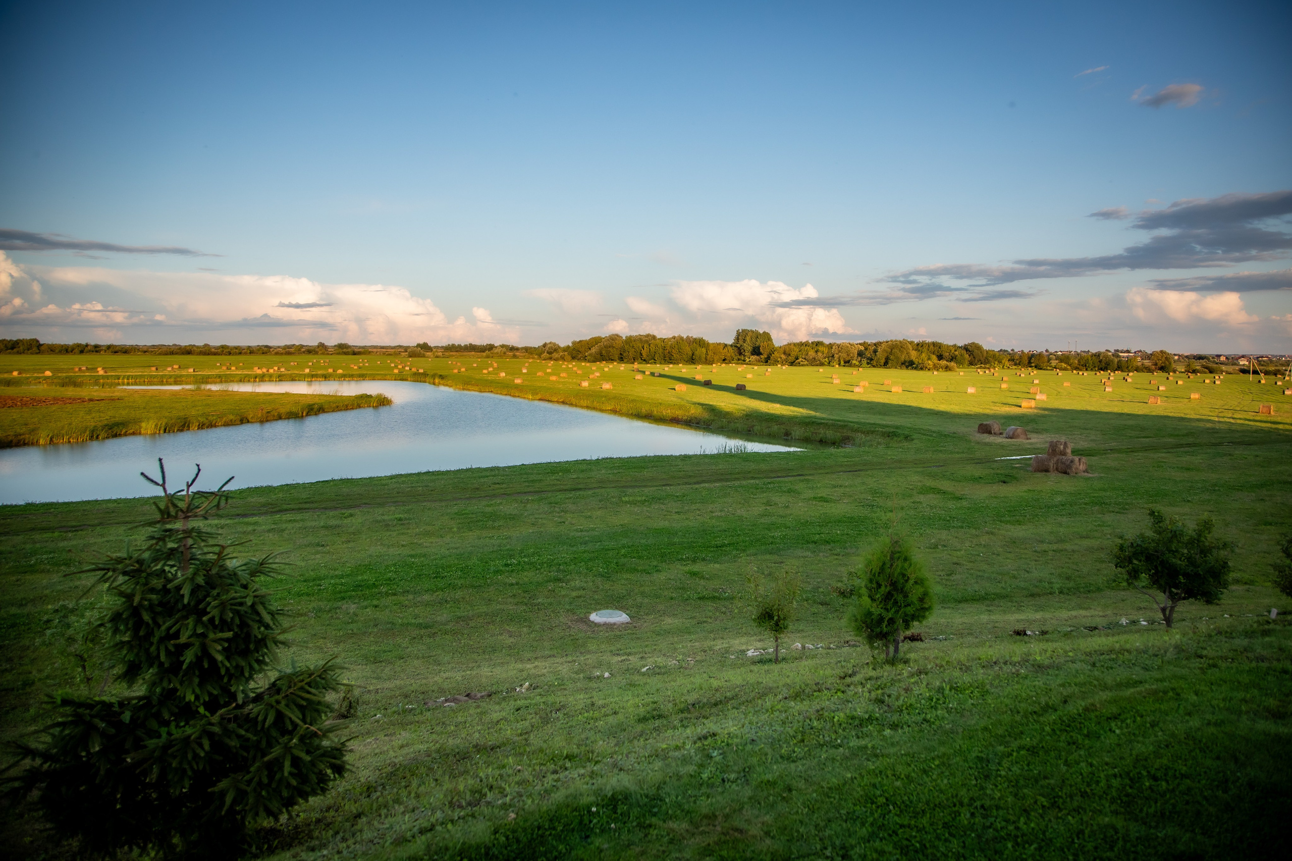 Рязань, август 2024. Фотограф Сергей Ловкий