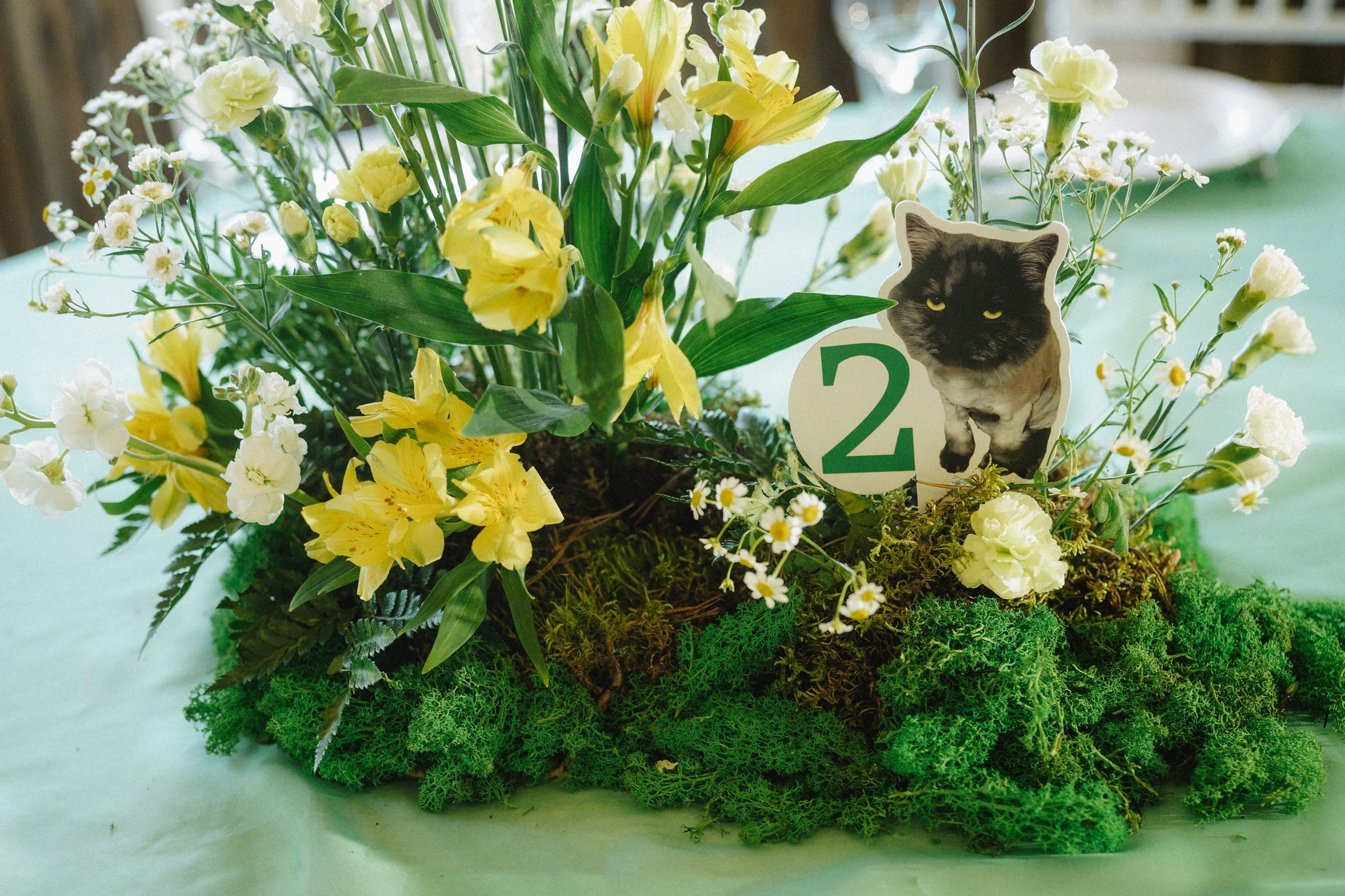 Егор и Маша. Организатор мероприятий в Абакане I Ольга Петухова