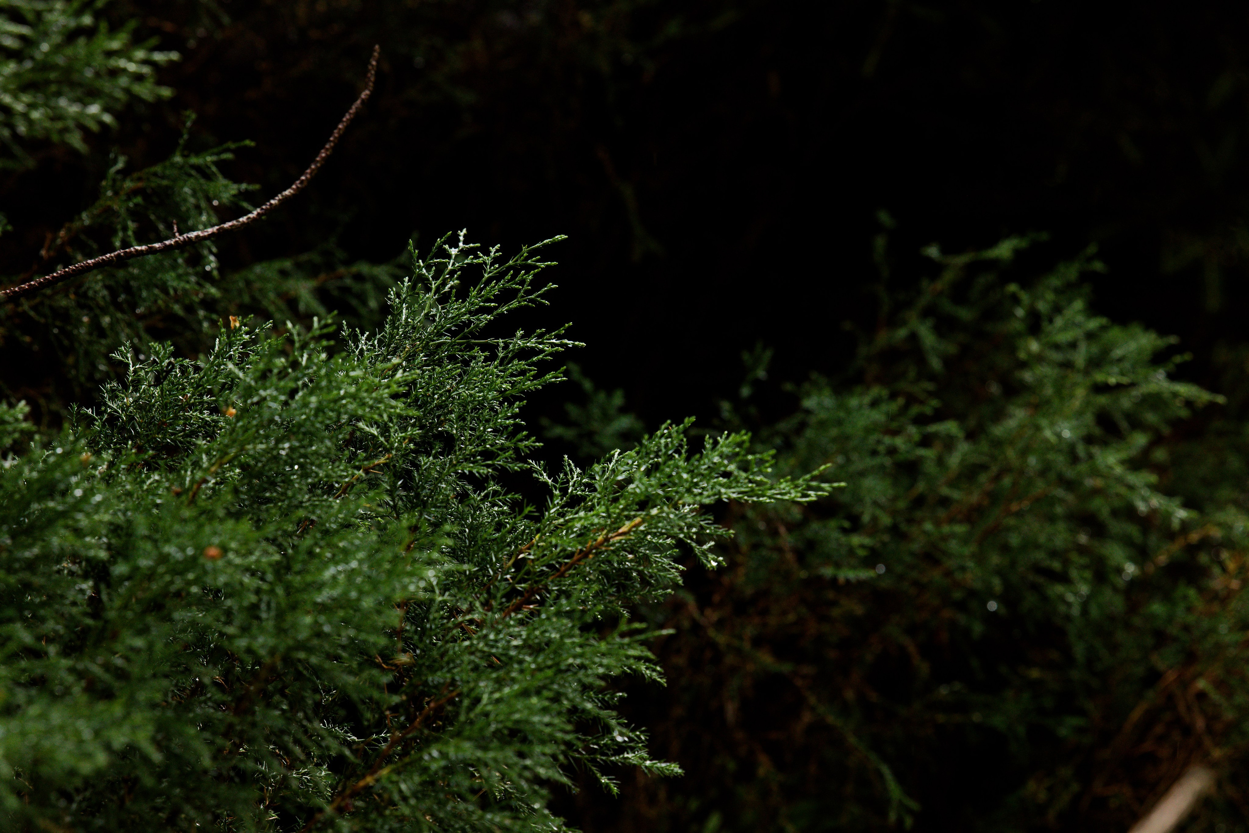 Услуги и цены. Главная