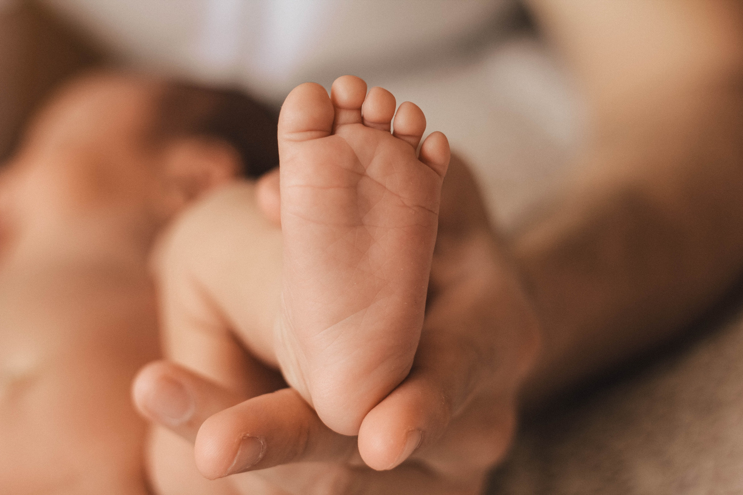 Новорожденные. Фотограф Александр Солнечный