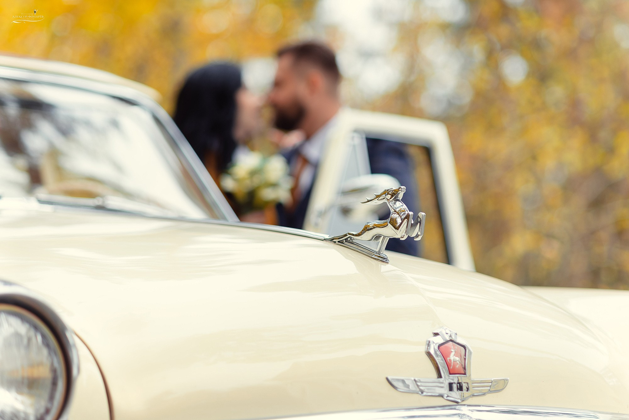 Свадебный фотограф в Талдоме и Дубне. Свадебный фотограф в Дубне Алексей Фонарёв