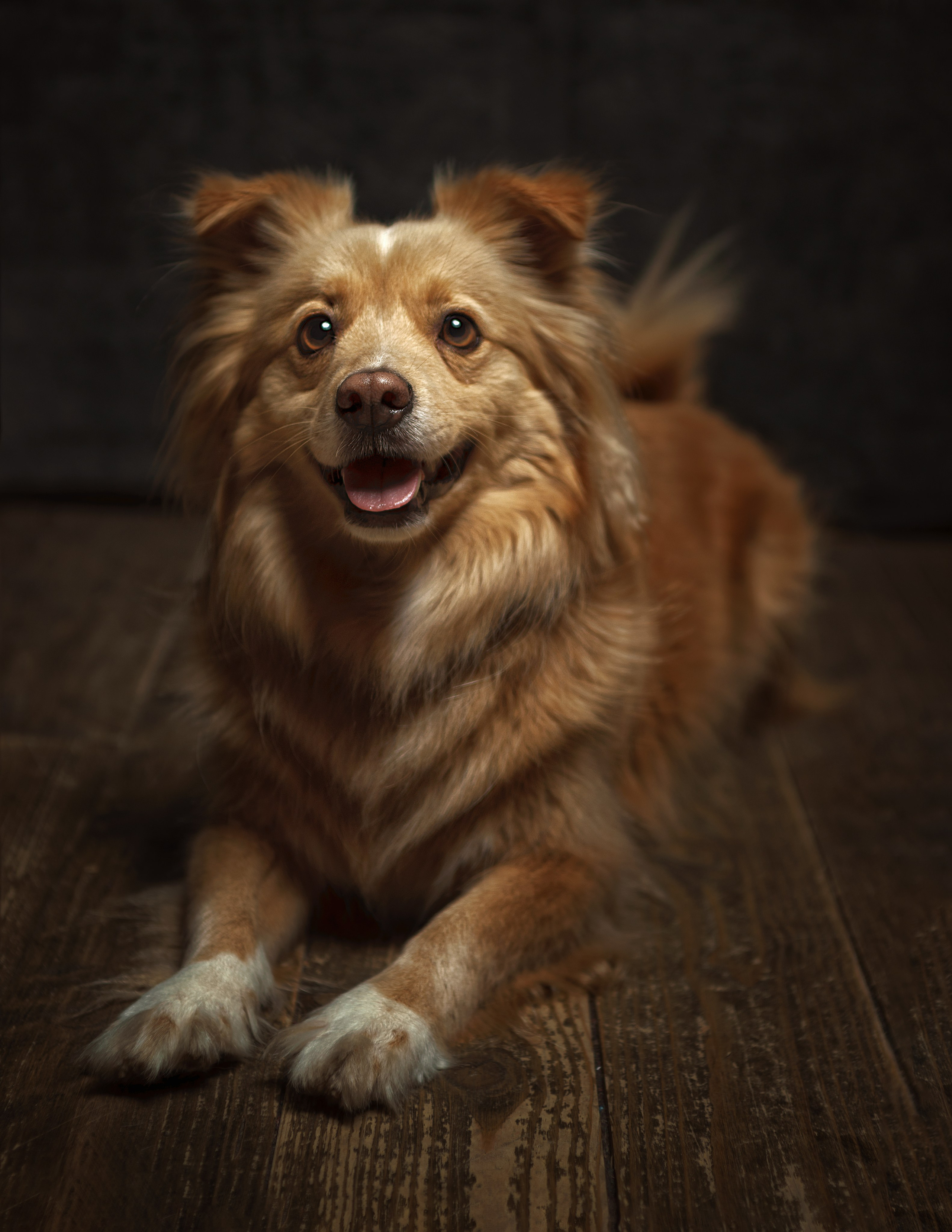 ДРУГ, НАЙДИСЬ. Антон Тимошевский, профессиональный портретный фотограф в Москве и Орле