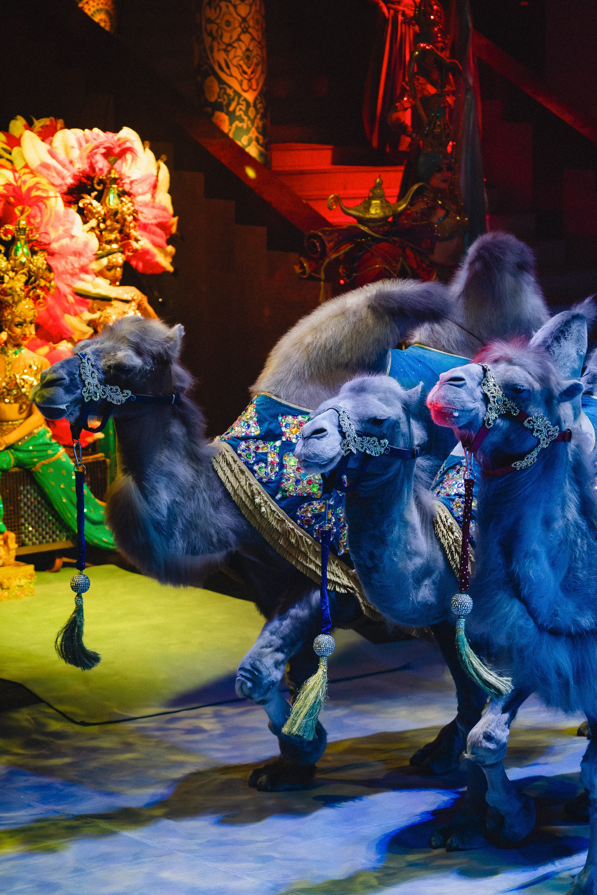 Пресс-показ шоу «Песчаная Сказка». Воробьева Ксения — Спортивный и танцевальный фотограф Новосибирск