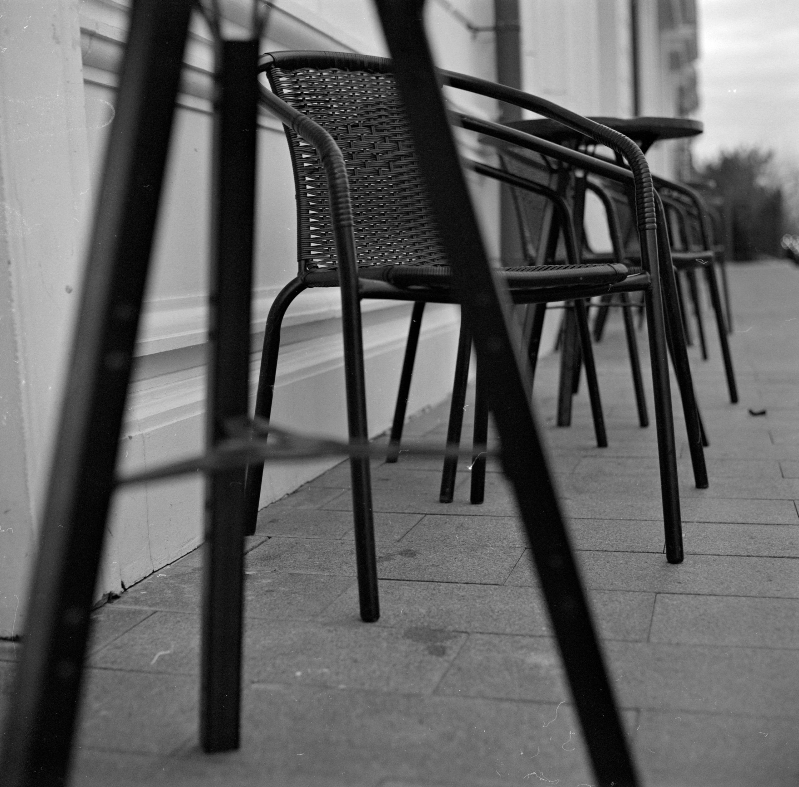 Альбом «Библиотека кофе» г. Анапа. Проект «Проявленные в кофе»