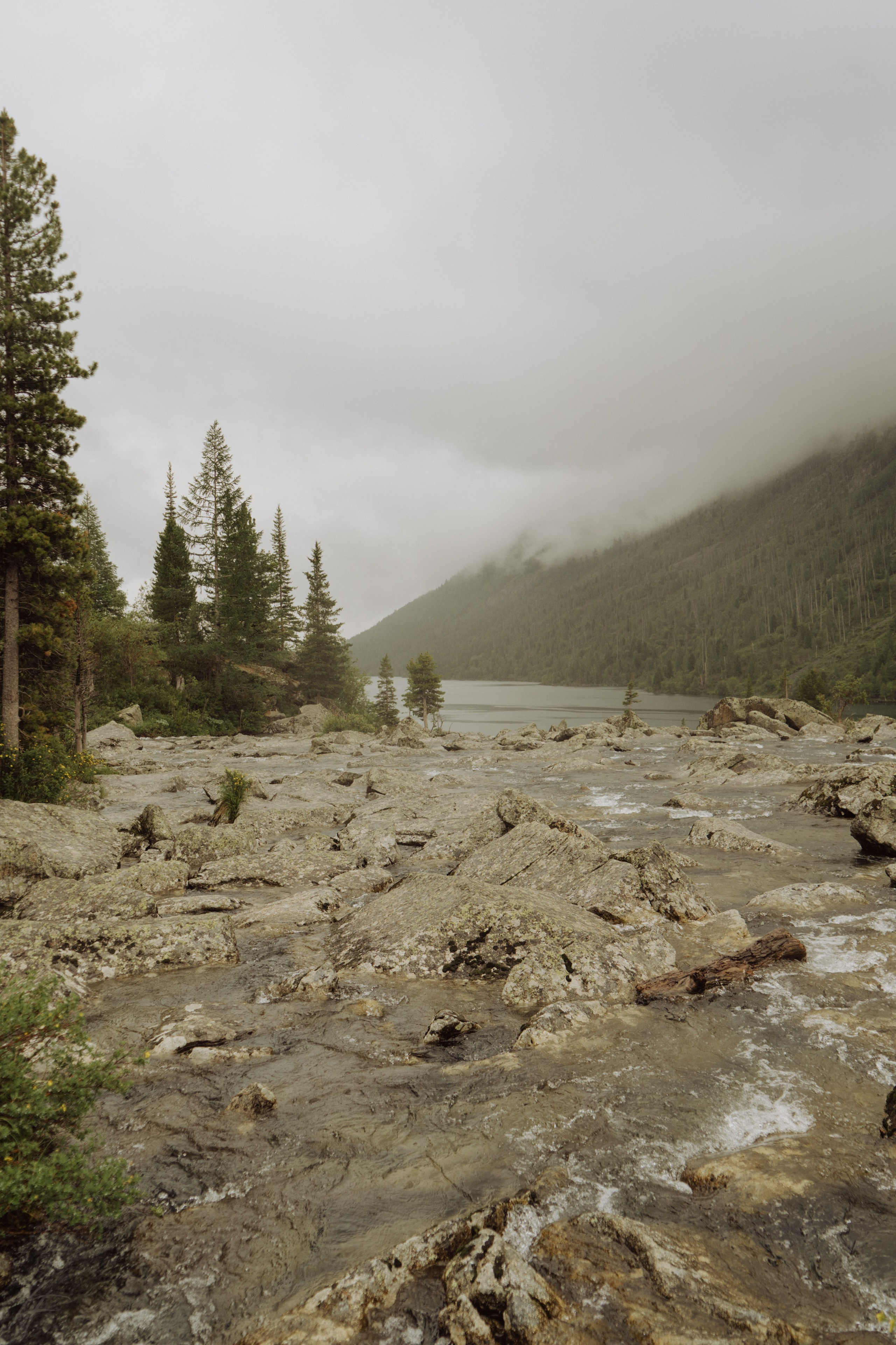 Алтай 2025. Лиза Фирстова