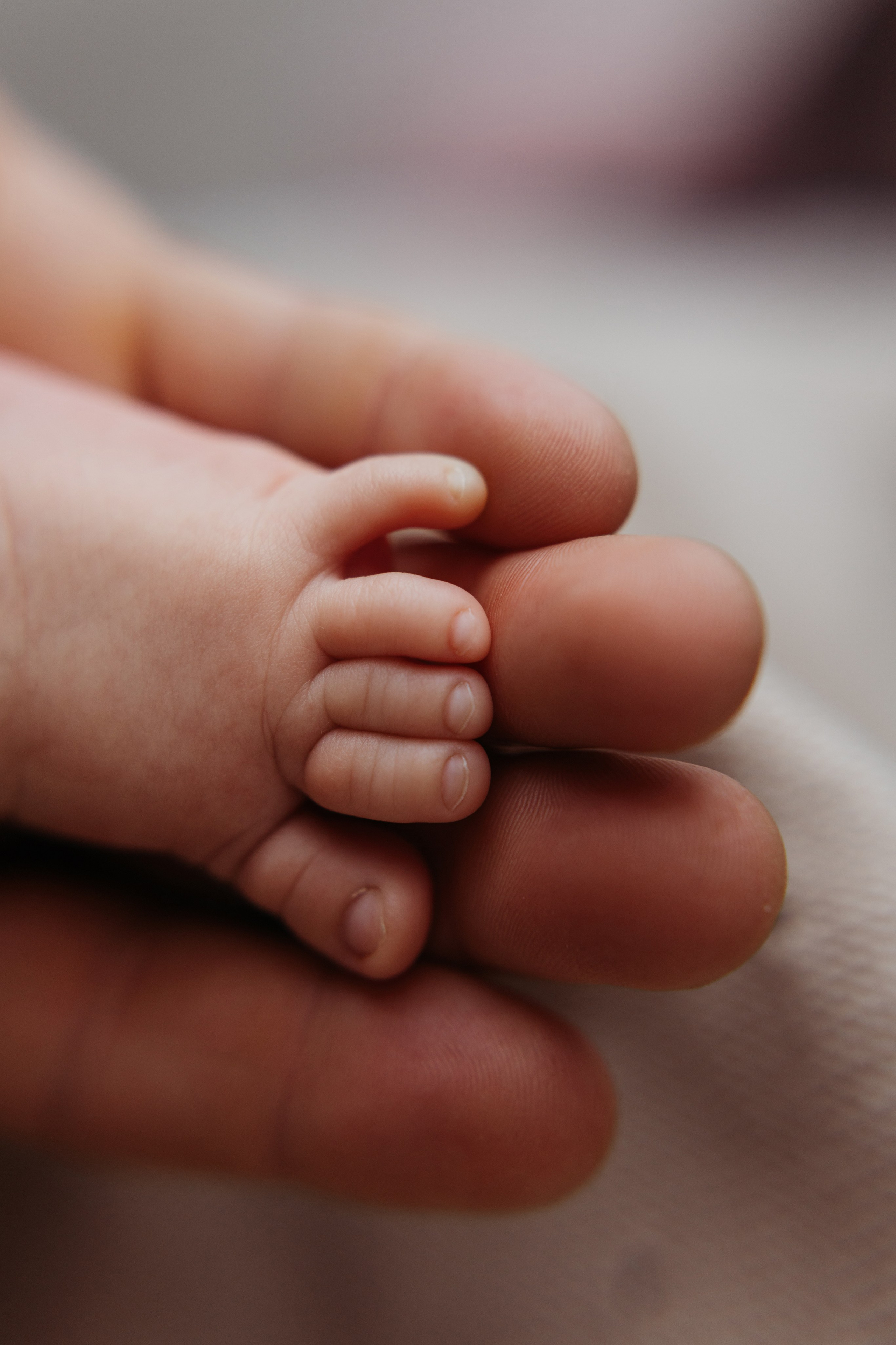 Домашняя лайфстайл фотосессия. Фотограф новорожденных в г. Барнаул Ренпенинг Катерина