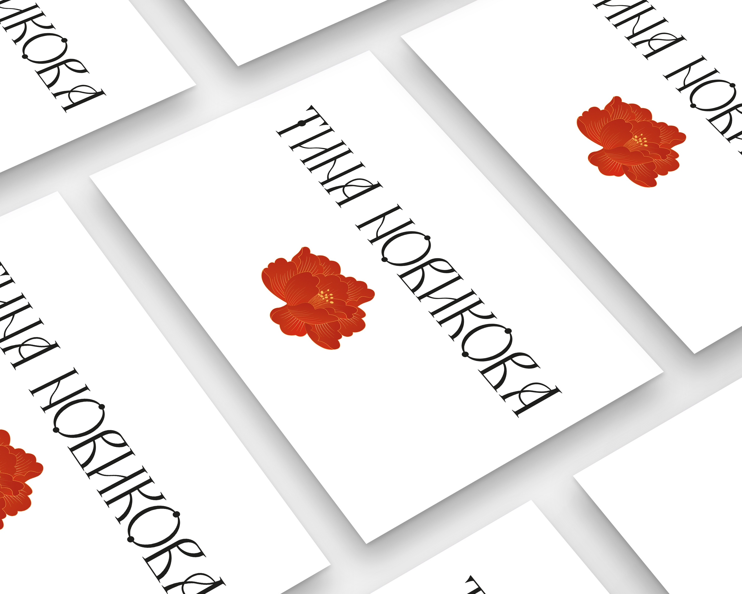 Разработка фирменного стиля для бренда одежды ТИНА НОВИКОВА. Алена Русских — фотограф и графический дизайнер в Ростове-на-дону